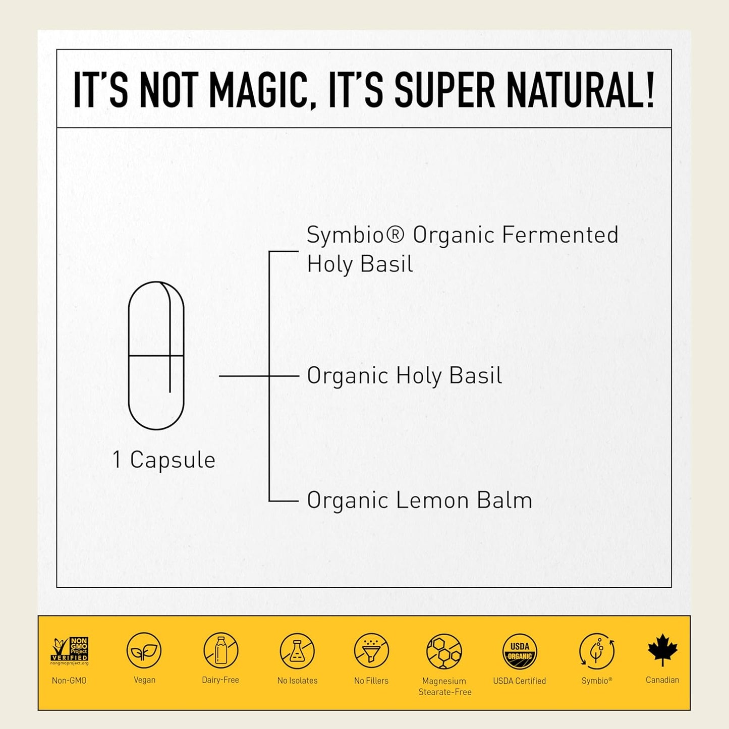 Fermented Holy Basil & Lemon Balm Mood Sleep Aid Supplement for Women & Men - Vegan Non-GMO - Living Alchemy 60 Capsules
