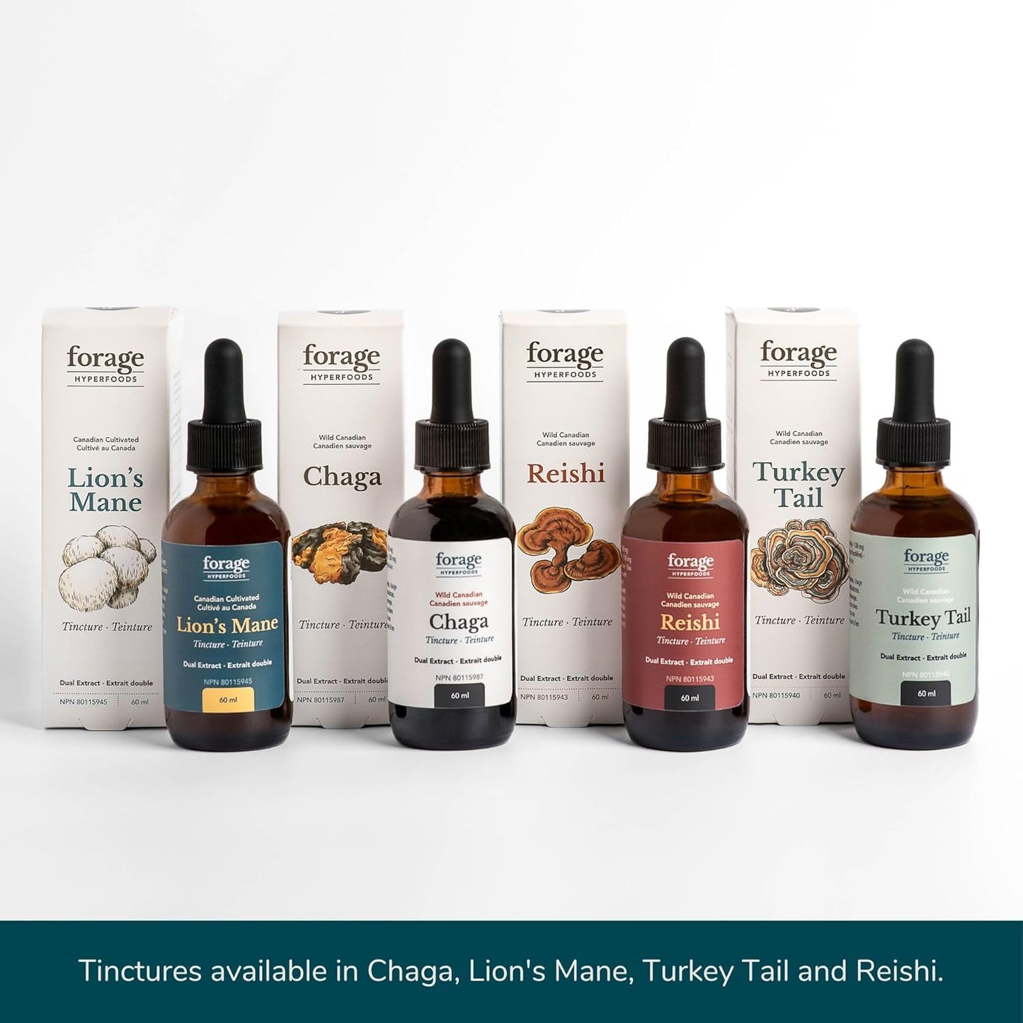 Forage Hyperfoods Reishi Mushroom Tincture - Immune Support & Stress Relief - Dual Extract - 60ml