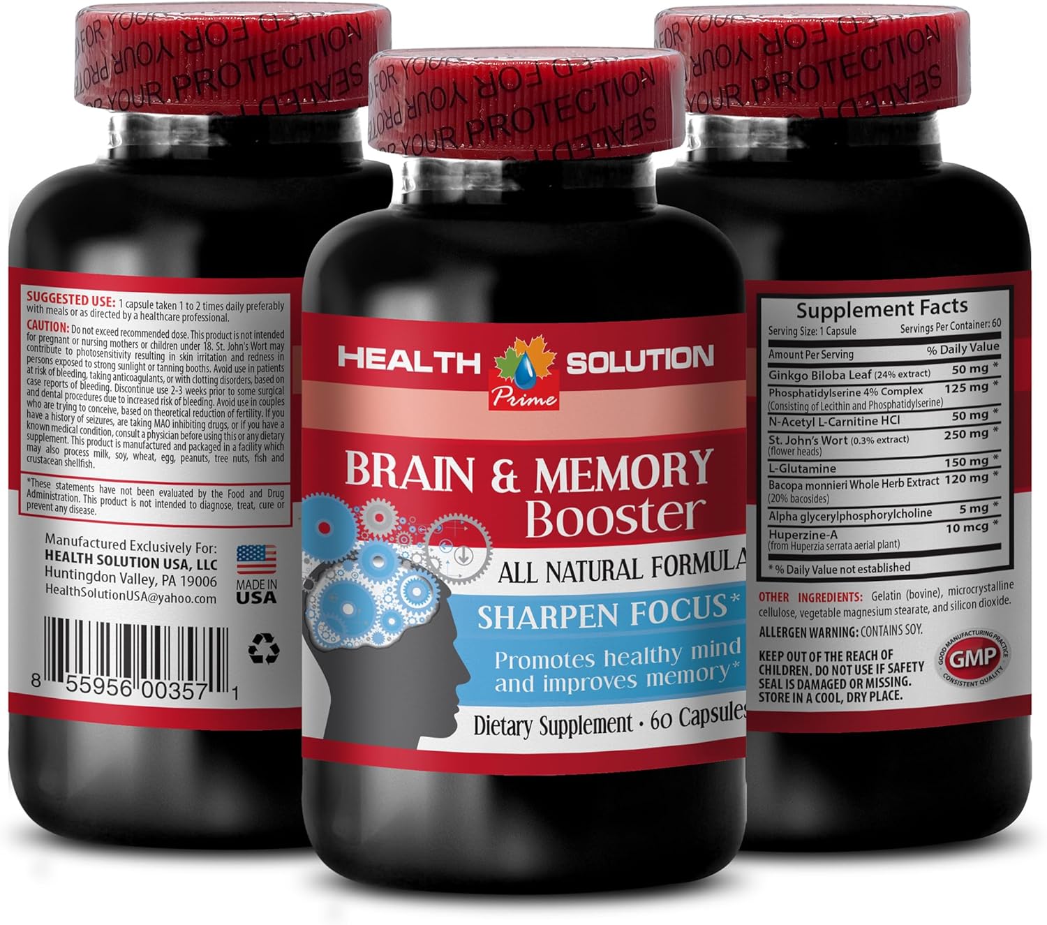 Ginkgo Biloba Extract Brain and Memory Booster Supplement - Improve Focus and Energy - 60 Capsules