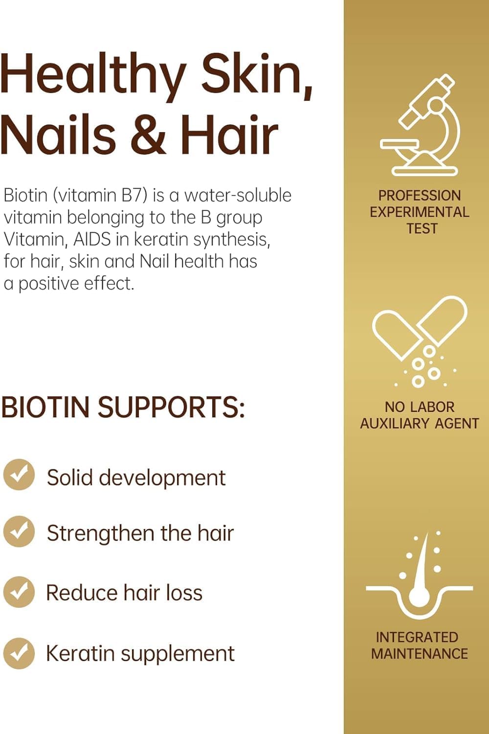 Hair, Skin, and Nails Health Supplement for Women & Men - Multivitamin with Vitamins C & B2 for Thicker Hair, Reduced Wrinkles, Fine Lines, and Skin Care - 60 Capsules
