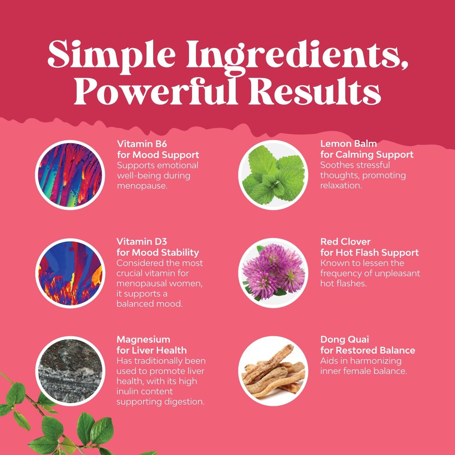 Herbal Menopause Supplement Bundle for Women: Night Sweats & Mood Support + Herbal Thyroid Complex for Energy & Health - 120ct
