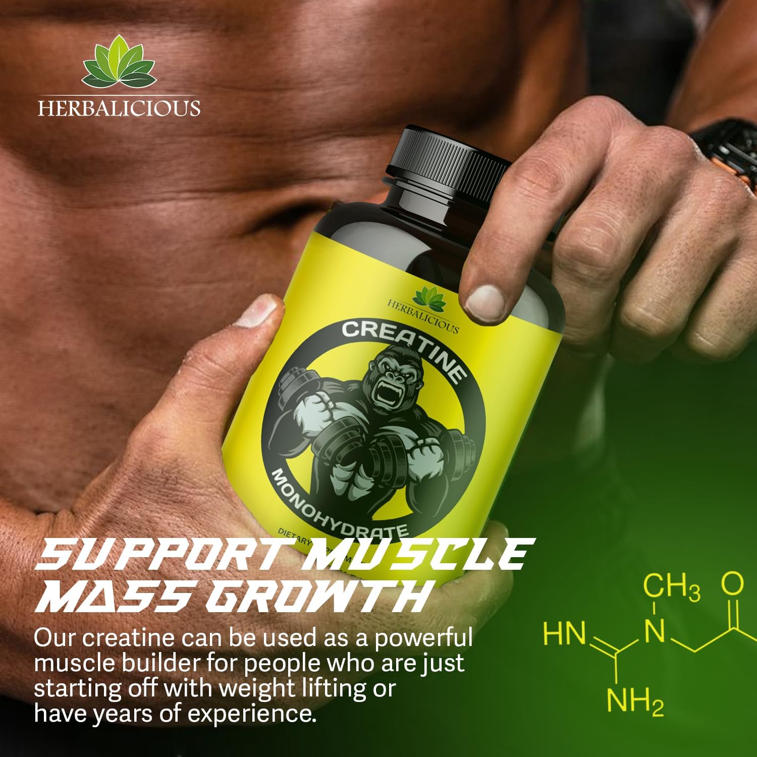 Herbalicious Creatine Monohydrate Pills for Muscle Size, Strength, and Power - Non-GMO Formula - 240 Capsules