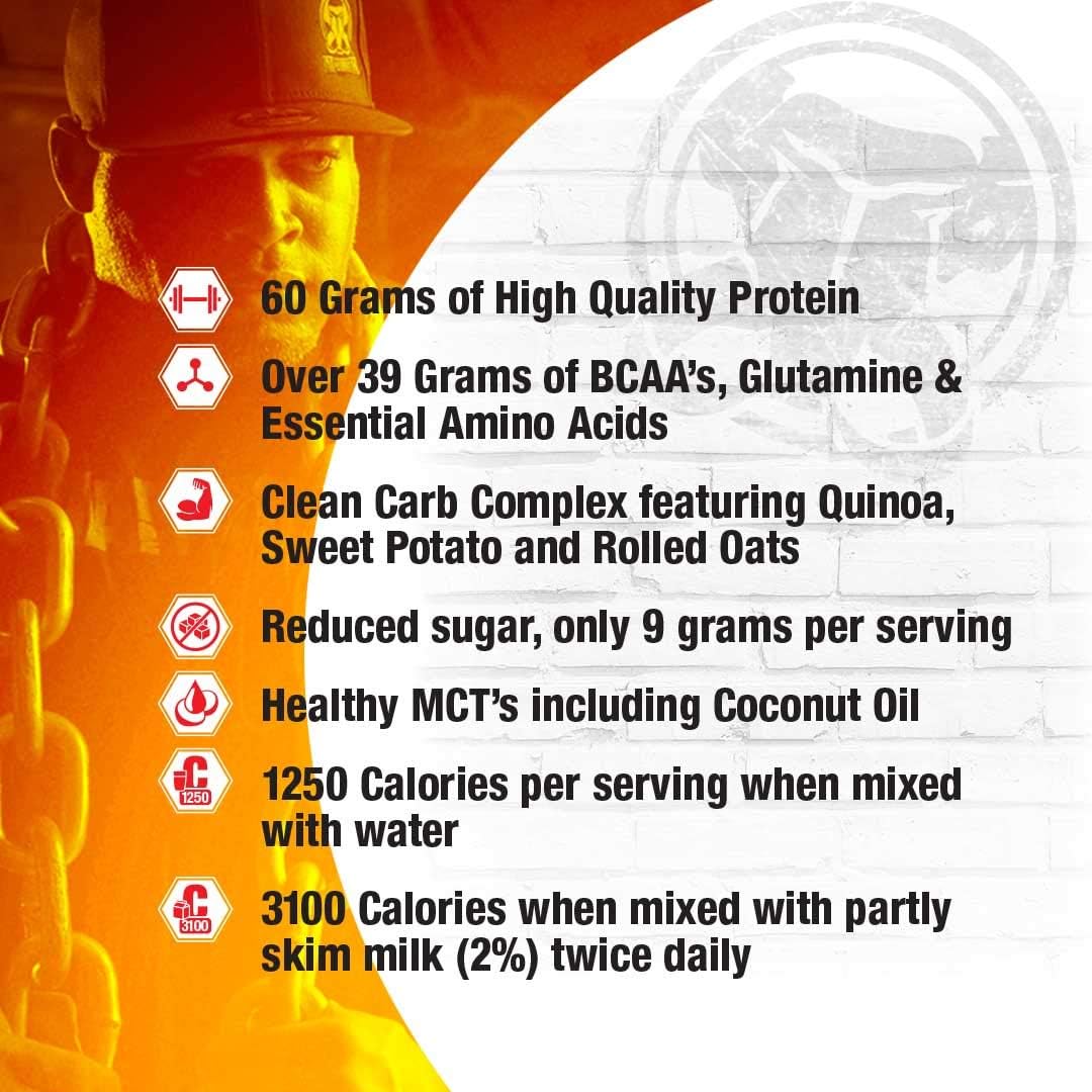 High Calorie Protein Powder Weight Gainer, Whey Isolate & Casein Blend for Workout Smoothies, Low Sugar, Chocolate Flavor - 5lb