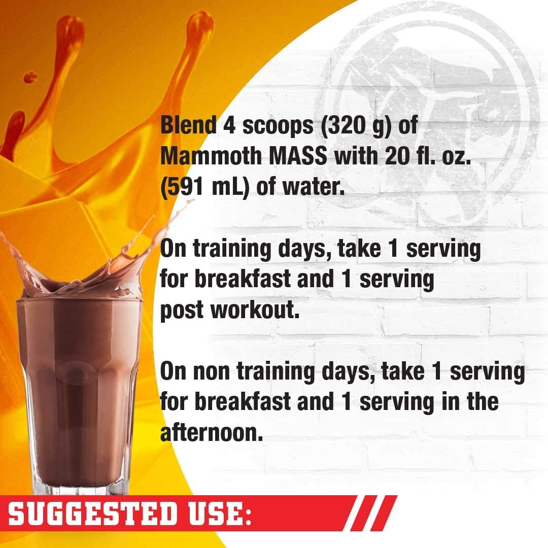 High Calorie Protein Powder Weight Gainer, Whey Isolate & Casein Blend for Workout Smoothies, Low Sugar, Chocolate Flavor - 5lb