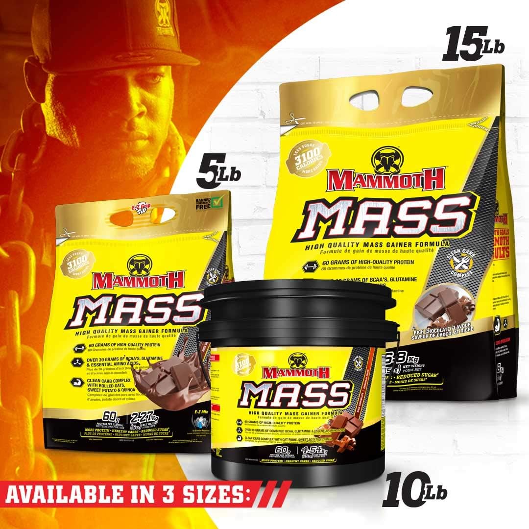 High Calorie Protein Powder Weight Gainer, Whey Isolate & Casein Blend for Workout Smoothies, Low Sugar, Chocolate Flavor - 5lb