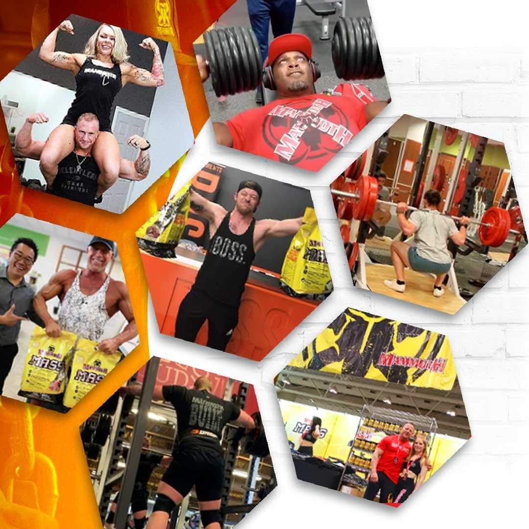 High Calorie Protein Powder Weight Gainer, Whey Isolate & Casein Blend for Workout Smoothies, Low Sugar, Chocolate Flavor - 5lb