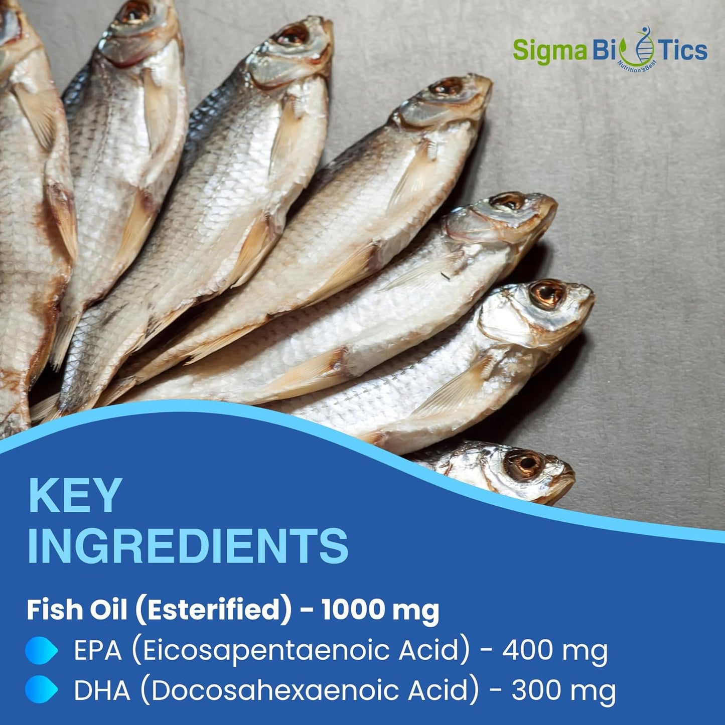 High EPA & DHA Concentration Omega 3 Fish Oil Supplements for Heart, Brain & Joint Health - Non-GMO, Purity-Tested - 60 Softgels