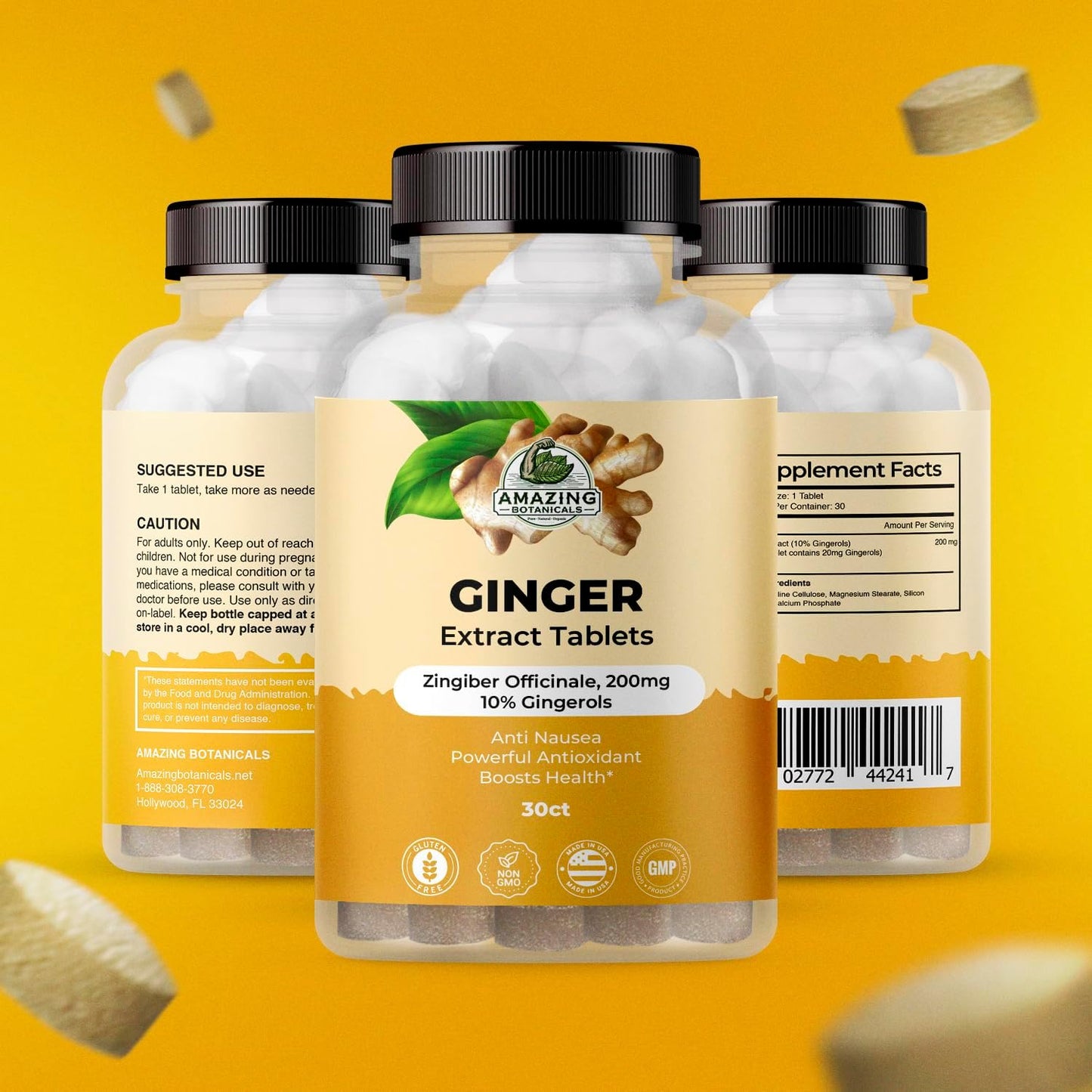 High Potency Ginger Root Extract Tablets - 200 mg, 10% Gingerols, 30 Tablets, Natural Anti-Inflammatory Supplement