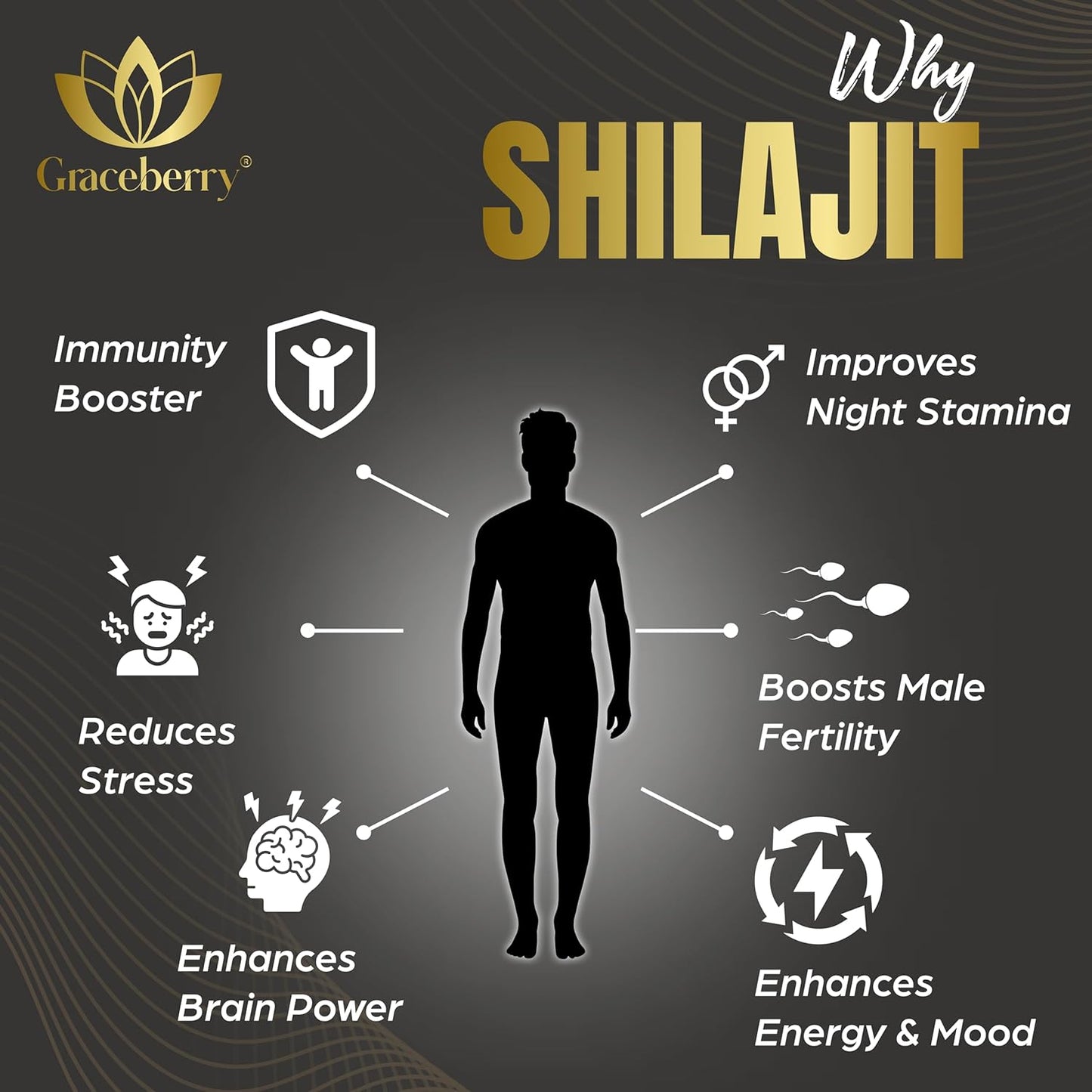 High Potency Graceberry Gold Shilajit Resin Supplement - Pure Himalayan Shilajit for Energy & Immune Support - 72% Fulvic Acid - Lab-Tested (20gm x 1)