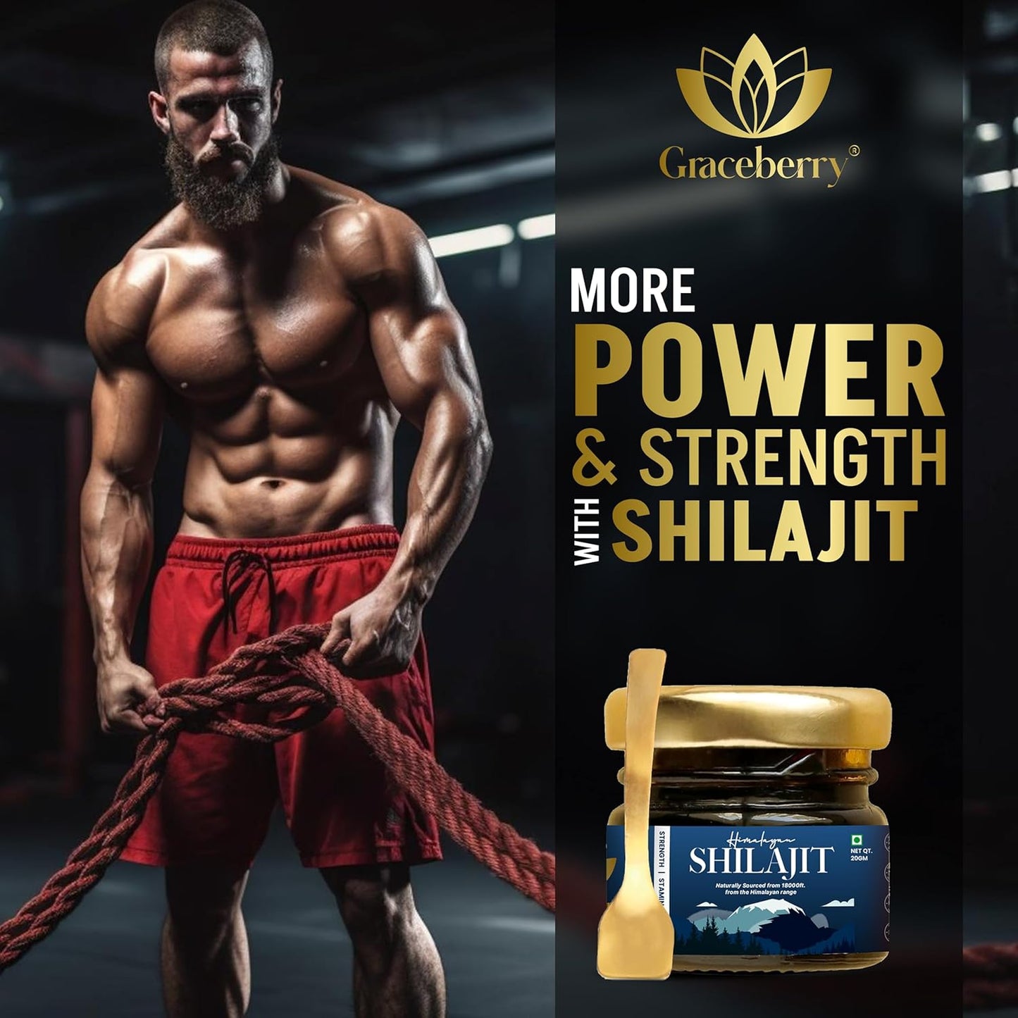 High Potency Graceberry Gold Shilajit Resin Supplement - Pure Himalayan Shilajit for Energy & Immune Support - 72% Fulvic Acid - Lab-Tested (20gm x 1)
