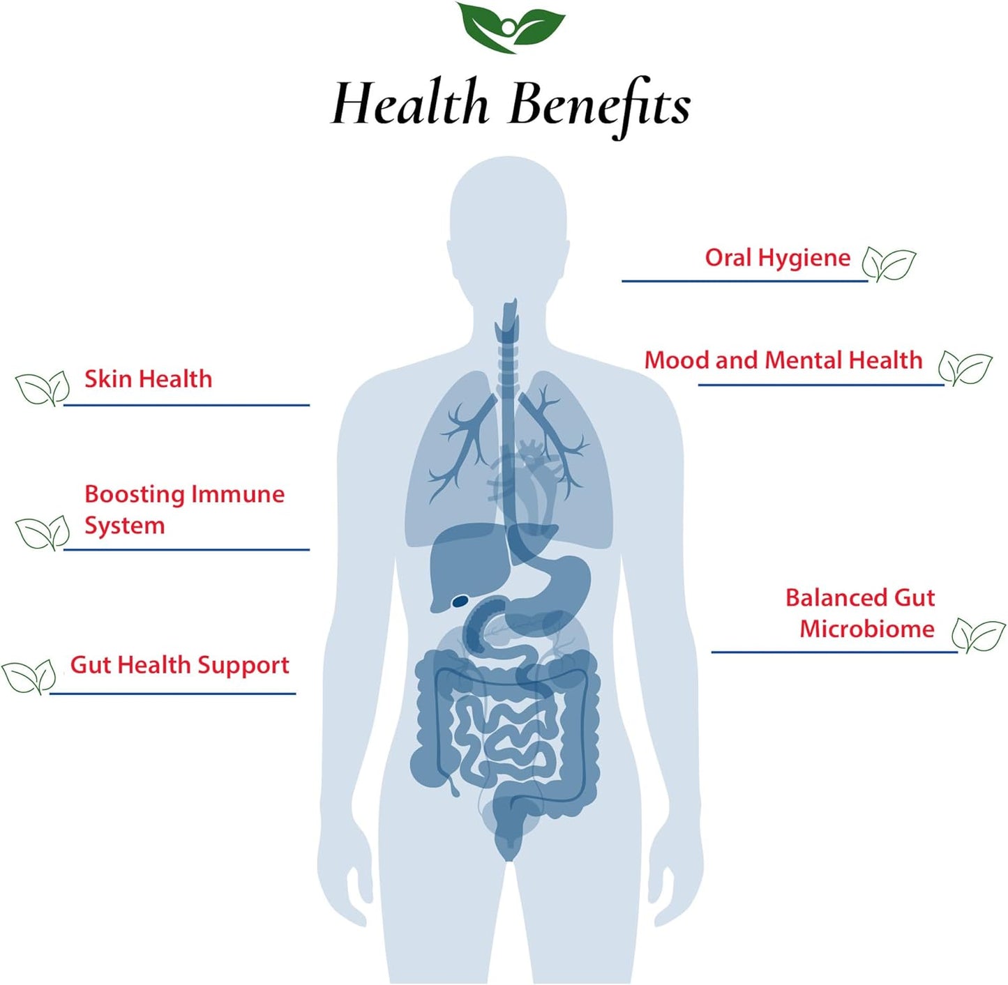 High Potency Lactobacillus Paracasei Probiotic Powder - 400 Billion cfu's - Made in USA - 60 Grams - Digestive & Immune Support