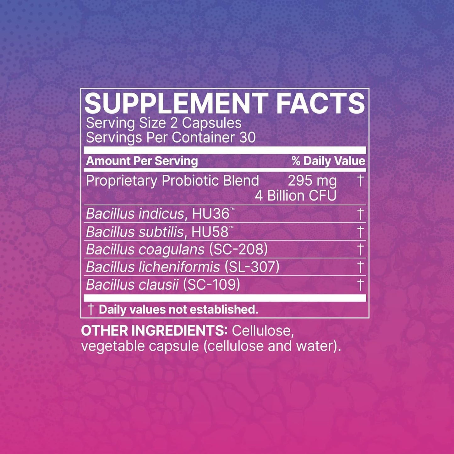 High-Potency Mega Spore Biotic Supplement for Digestive & Immune Support - 60 Capsules