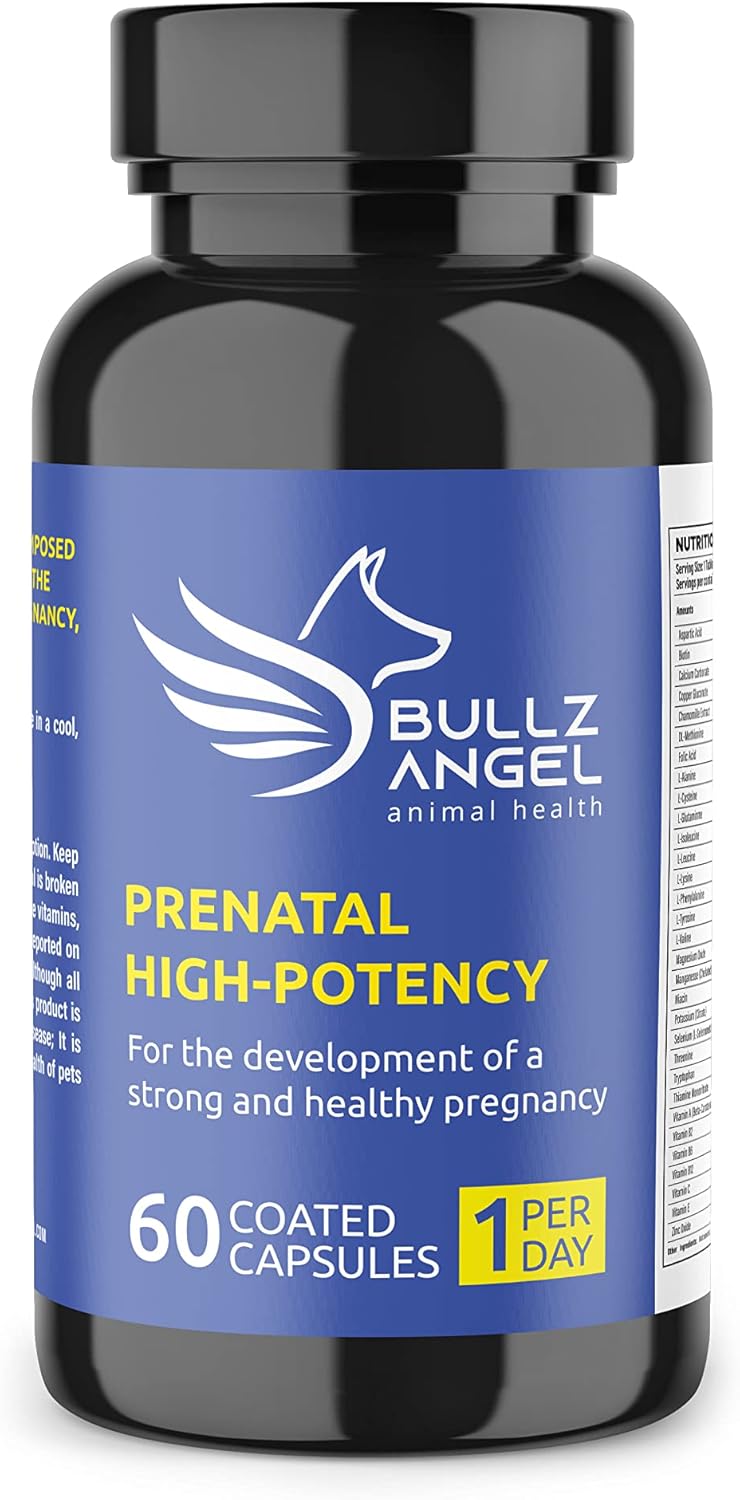 High-Potency Prenatal Vitamins by Bullz Angel