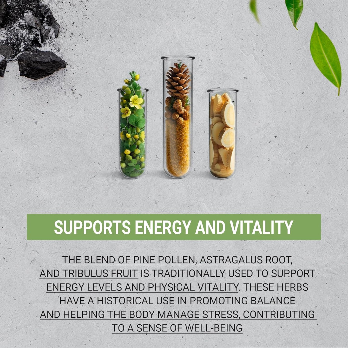 High-Potency Testosterone Support Herbal Drops with Pine Pollen, Astragalus, and Horny Goat Weed - 4 oz Alcohol-Free Tincture