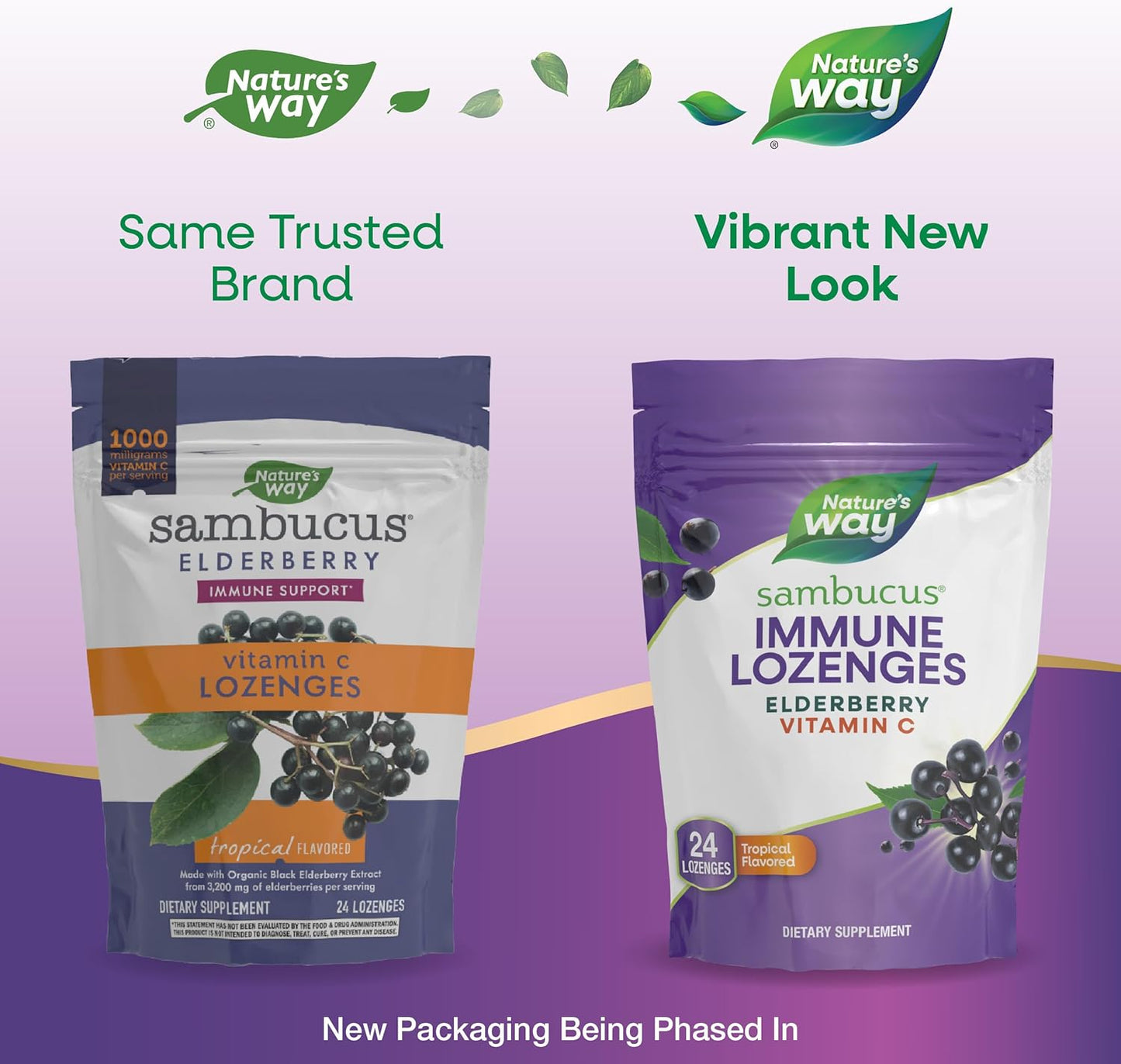 High Potency Vitamin C Elderberry Lozenges for Immune Support, 24 Tropical Flavored Pack