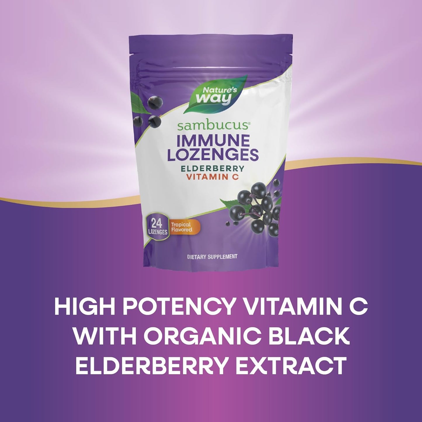 High Potency Vitamin C Elderberry Lozenges for Immune Support, 24 Tropical Flavored Pack