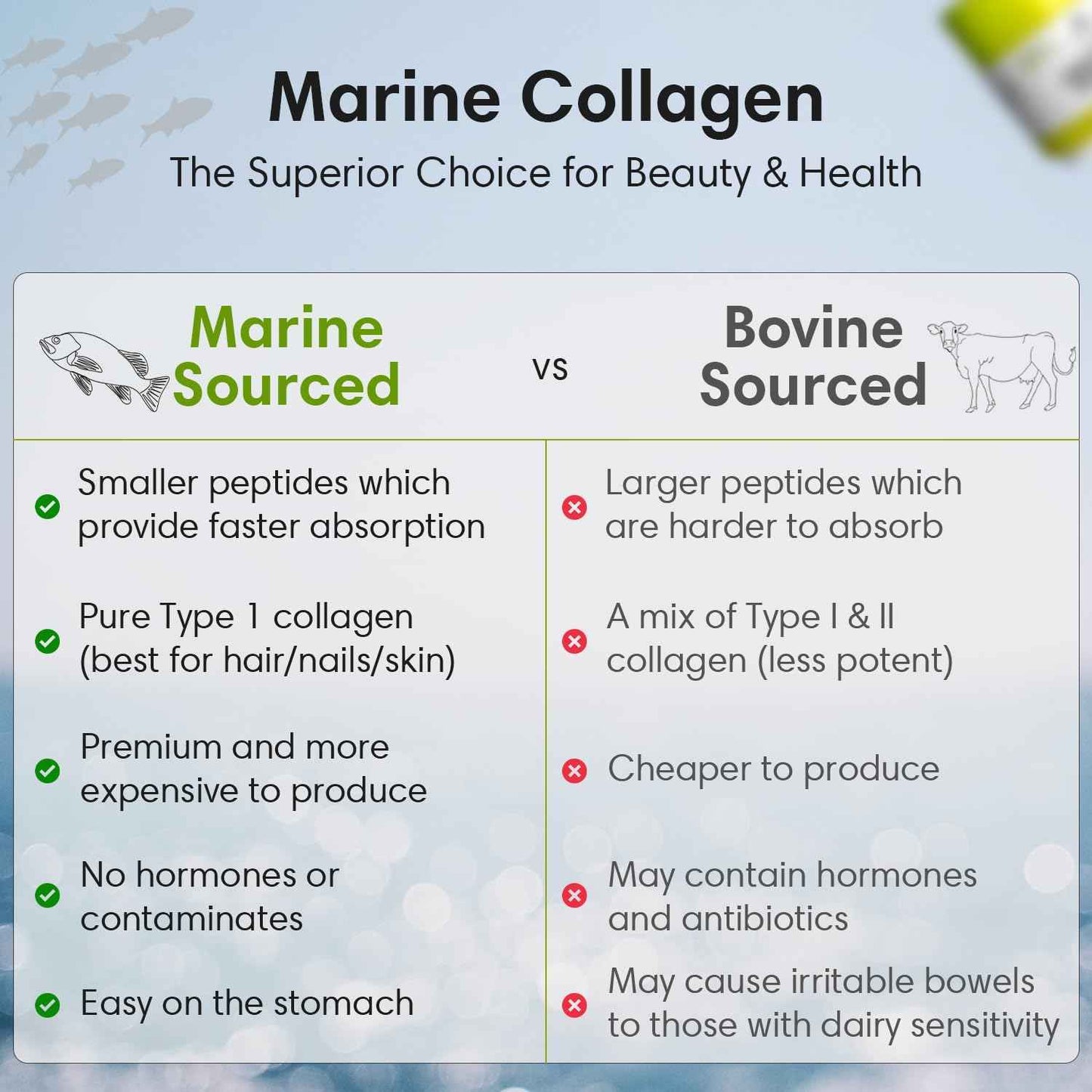Hydrolyzed Marine Collagen Peptides Powder | Type 1 Protein Supplement | Unflavored Dietary Supplement | Supports Skin Elasticity, Joint Function, Hair Growth & Healthy Nails | 30 Servings