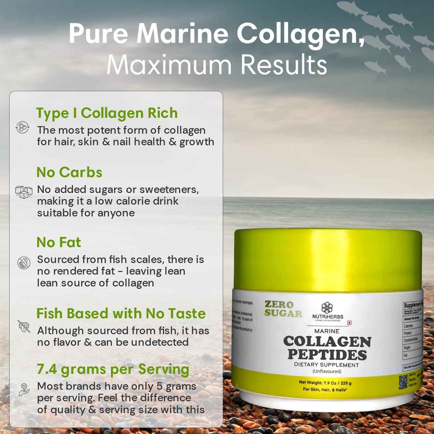 Hydrolyzed Marine Collagen Peptides Powder | Type 1 Protein Supplement | Unflavored Dietary Supplement | Supports Skin Elasticity, Joint Function, Hair Growth & Healthy Nails | 30 Servings