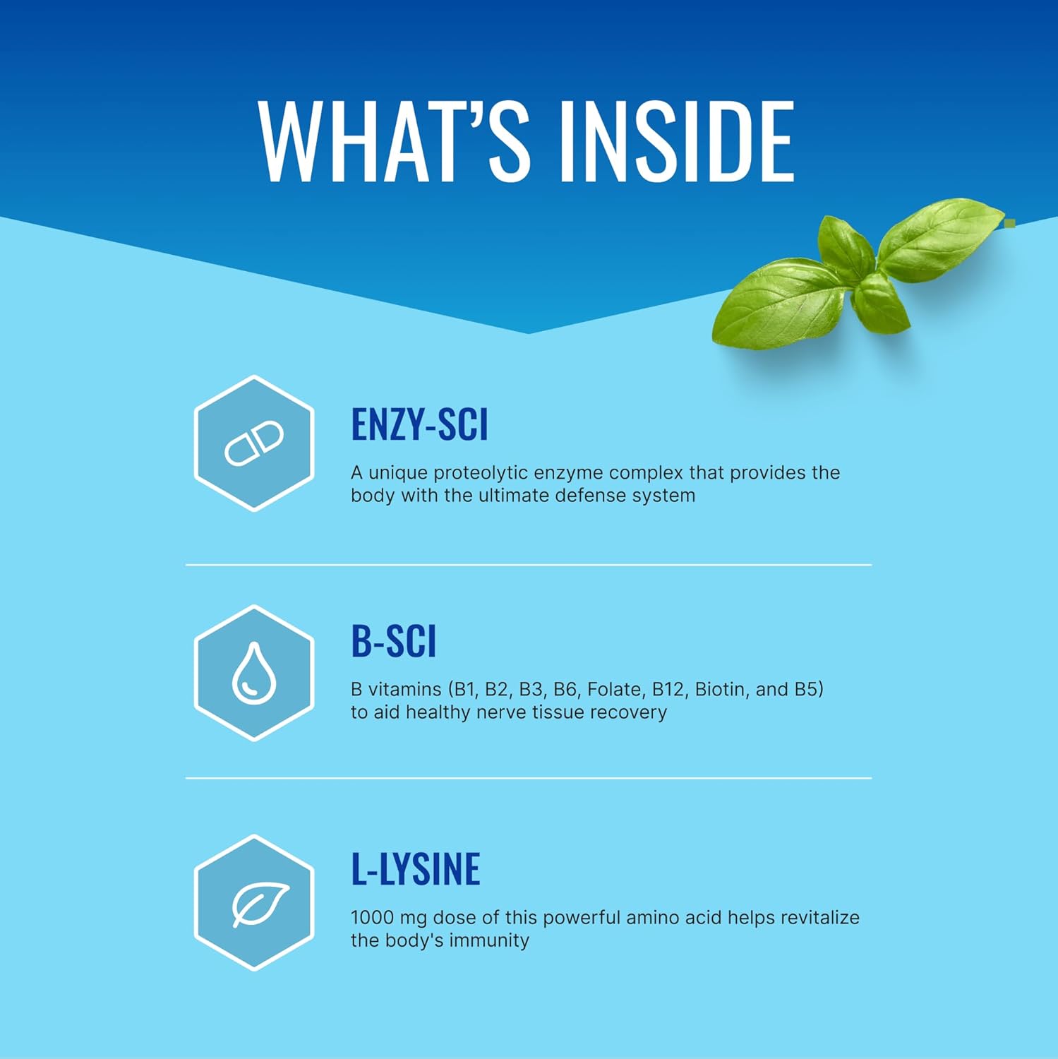 Immune Support Supplement with L-Lysine, Vitamin B Blend, and Mushroom Blend - 60 Capsules