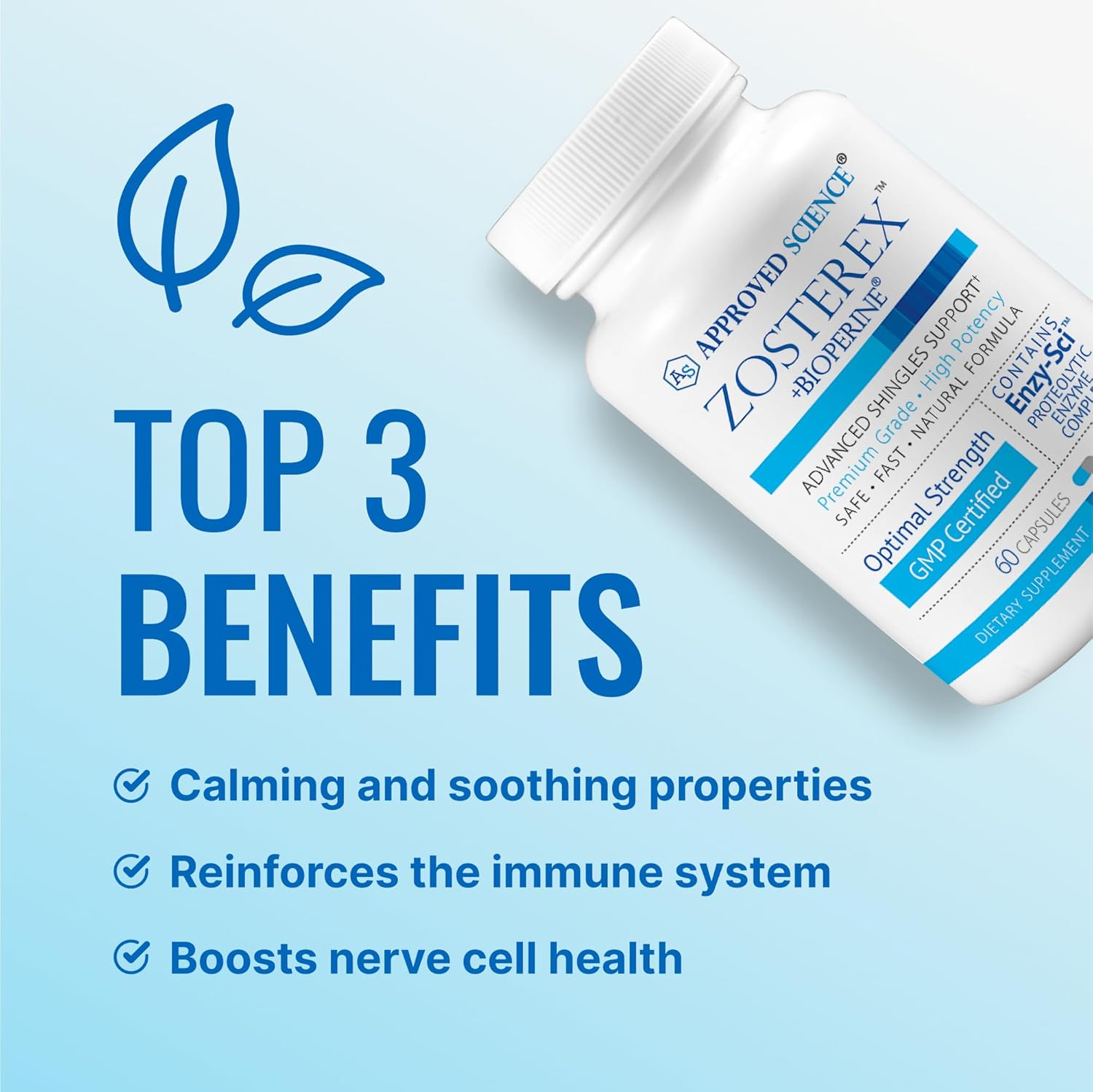 Immune Support Supplement with L-Lysine, Vitamin B Blend, and Mushroom Blend - 60 Capsules