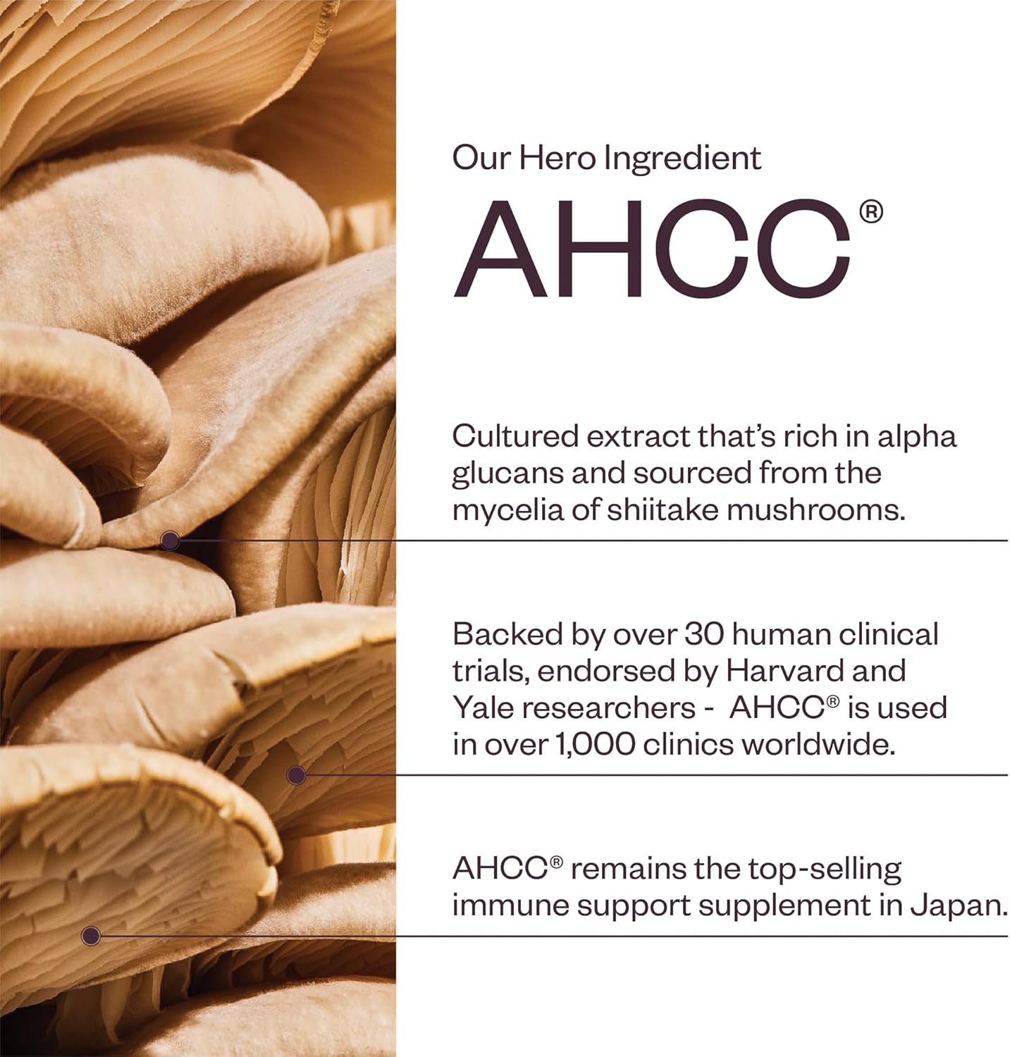 Immunity Boosting AHCC Mushroom Supplement with Vitamin D3, C, and Zinc - Vegan and Gluten-Free