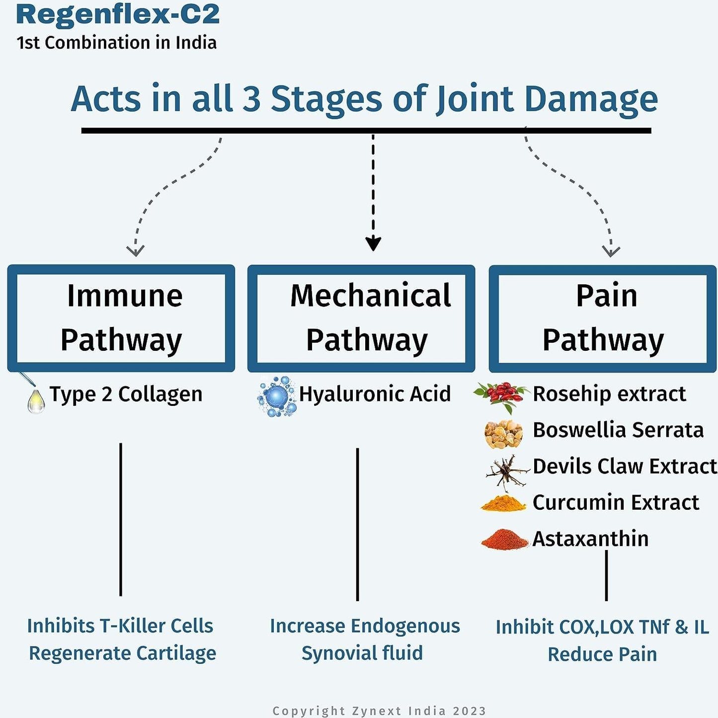 Joint & Cartilage Repair Supplement with Type 2 Collagen, Hyaluronic Acid & Herbal Extracts - 30 Tabs
