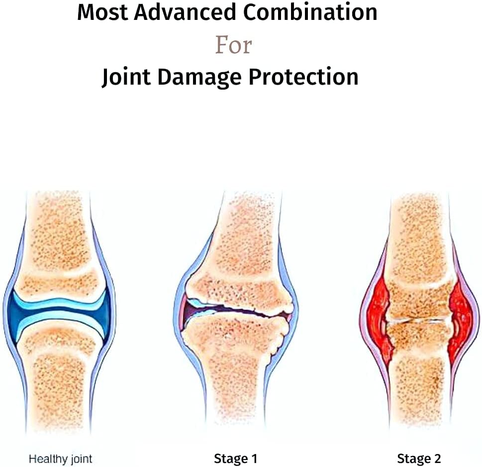 Joint & Cartilage Repair Supplement with Type 2 Collagen, Hyaluronic Acid & Herbal Extracts - 30 Tabs