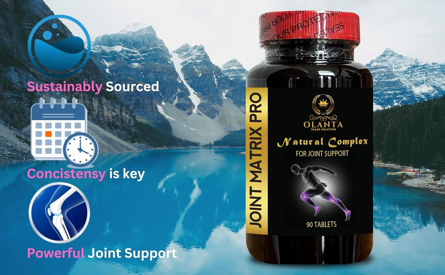 Joint Matrix PRO Complex - Natural Glucosamine Chondroitin with MSM for Joint, Knees, and Cartilage - Men & Women - Hip & Joint Support - 2 Bottles