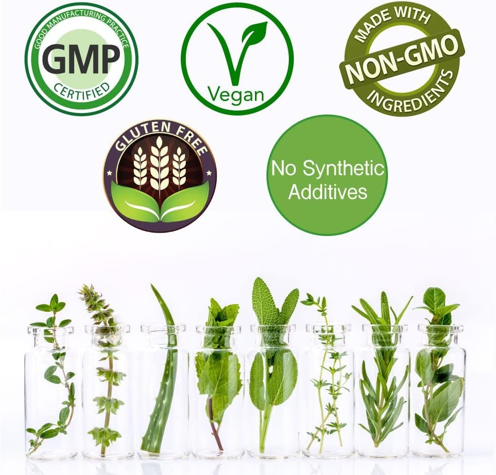 L-Serine 500mg Supplement - 30 Vegan Capsules, Non-GMO, Rice-Free, Gluten-Free Formula by Rejuvenation Therapeutics