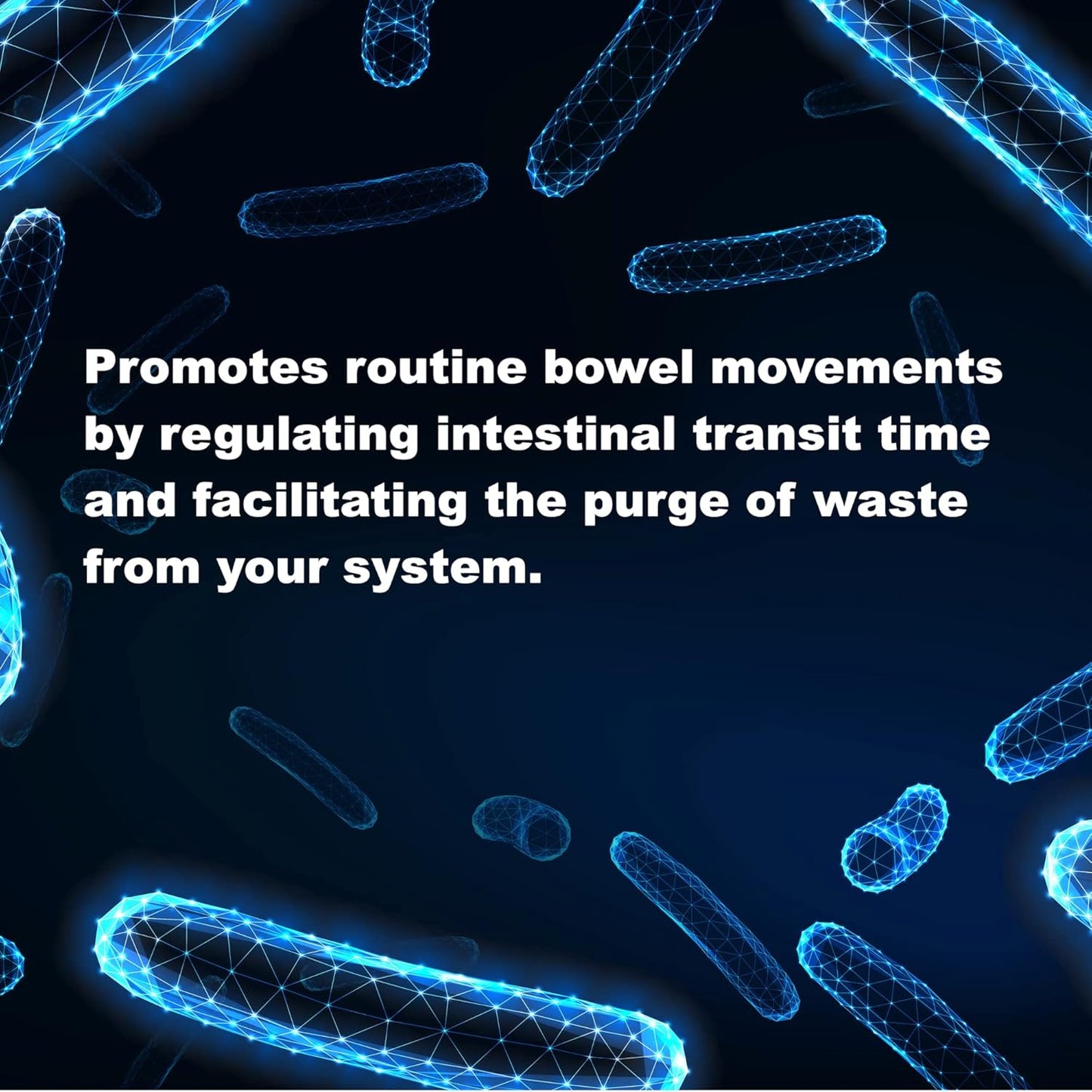 Lactobacilli Complex Supplement | 10 Billion CFU | 60 Capsules | Supports Gut Health, Regularity | Gluten Free, Non-GMO | USA Made