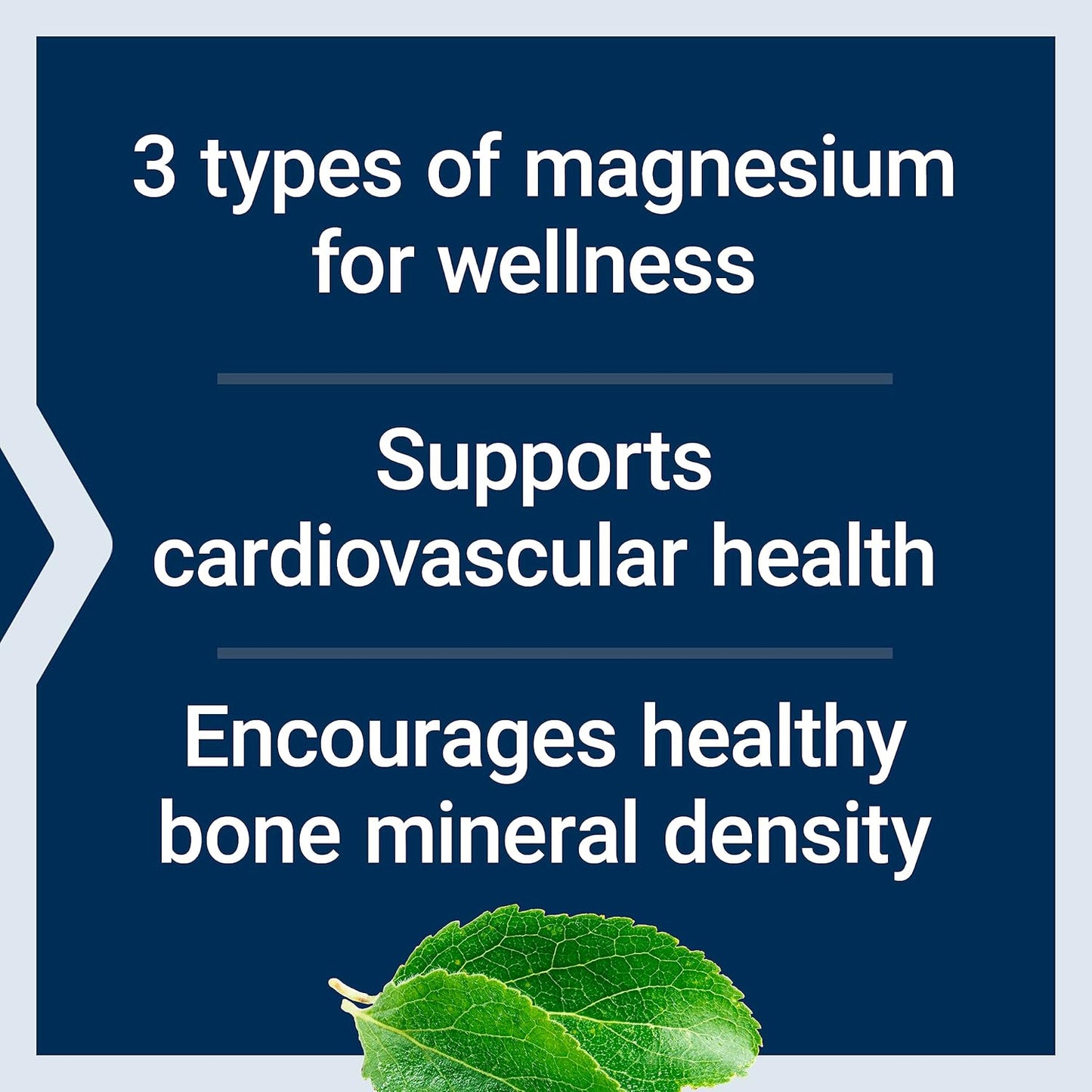 Life Extension Magnesium Capsules 500mg - Heart Health, Bone Support, Metabolism Boost - 100 Vegetarian Capsules x 2 Pack