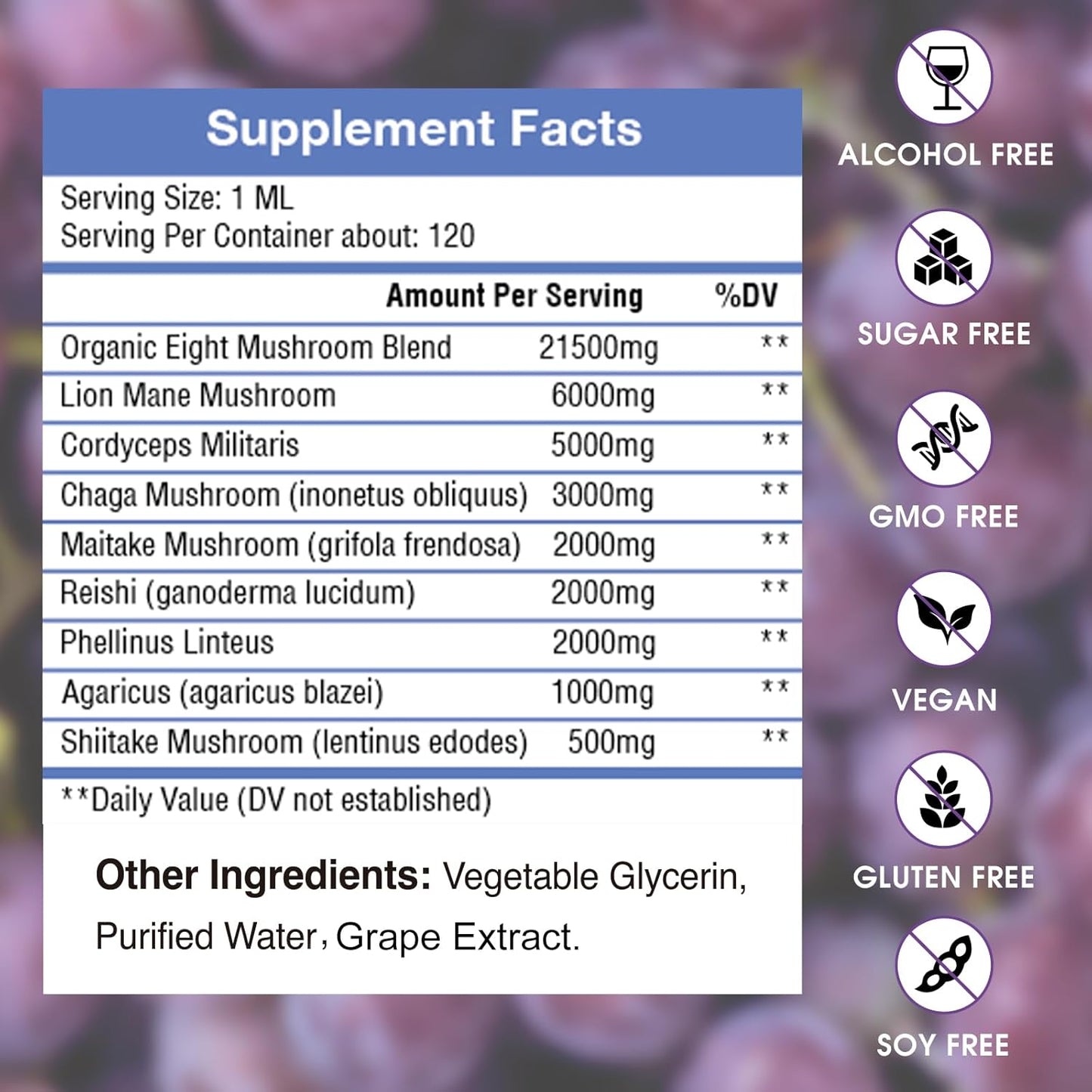 Lions Mane Liquid Supplement for Brain Support & Focus - Sugar & Alcohol-Free Tincture - 4 Fl OZ, Grape Flavor - 4 Month Supply
