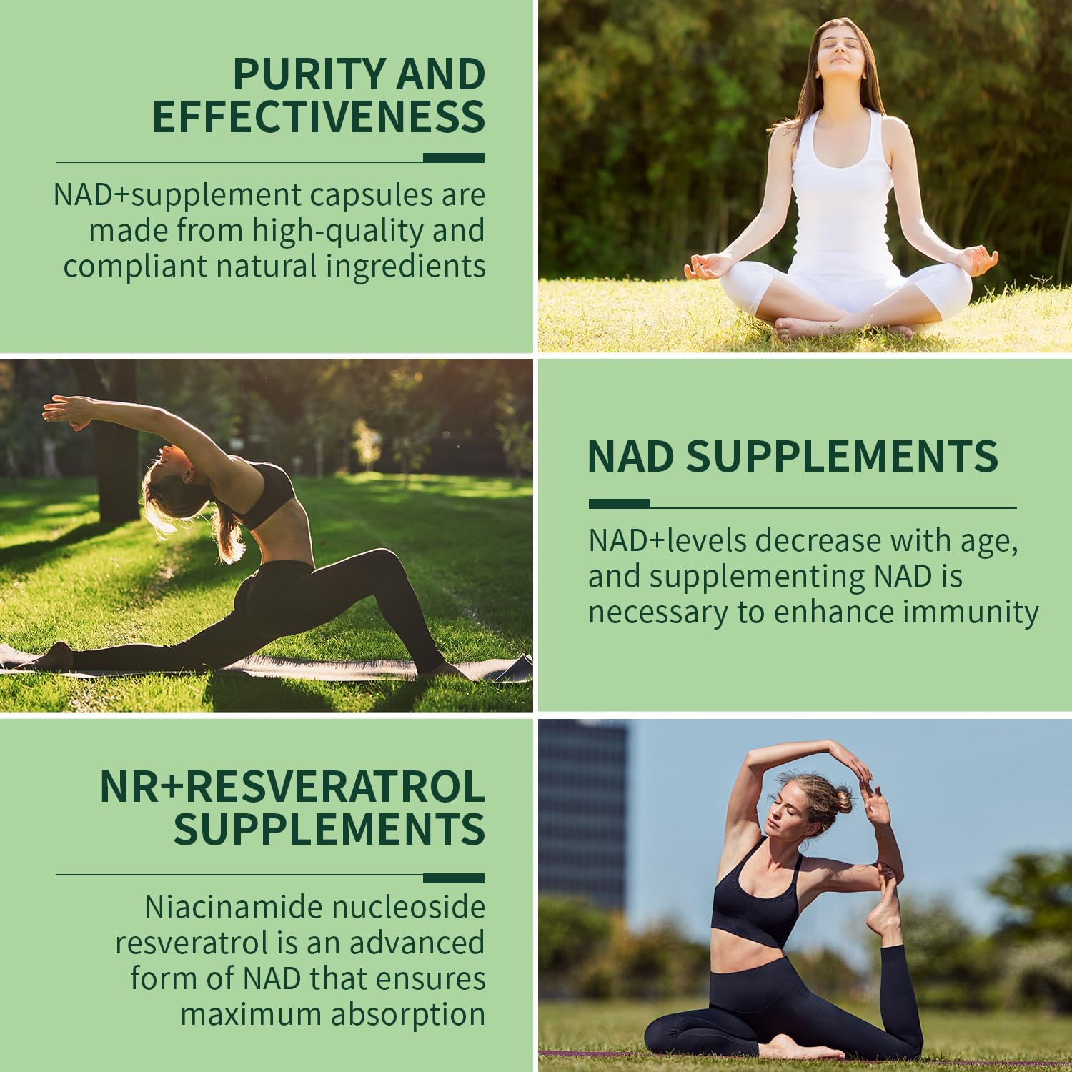 Liposomal NAD+ Supplement with NMN, Resveratrol, and Quercetin for Energy and Focus - 80 Capsules