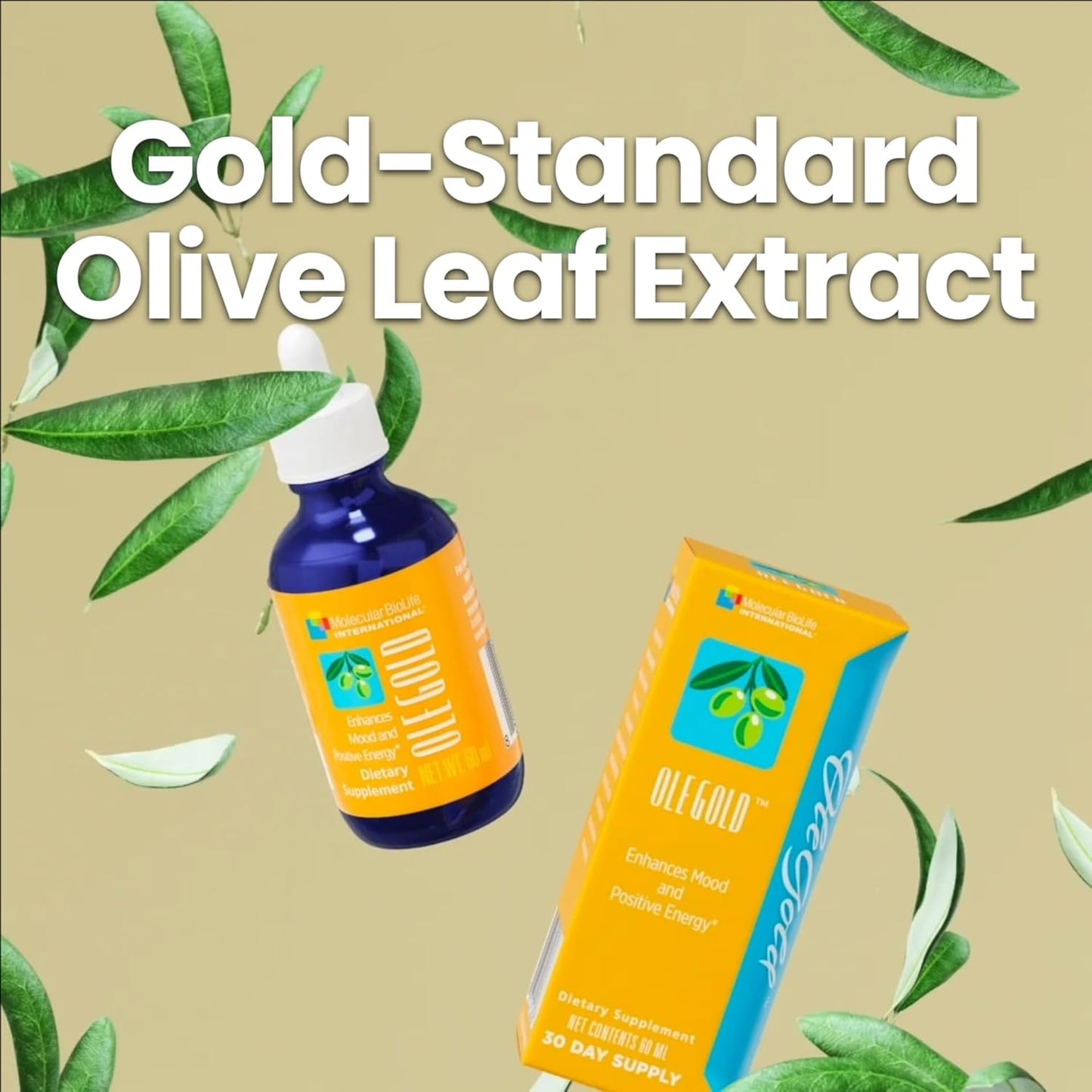 Liquid Olive Leaf Extract with Hydroxytyrosol, Tyrosol & Oleuropein by Molecular Biolife International