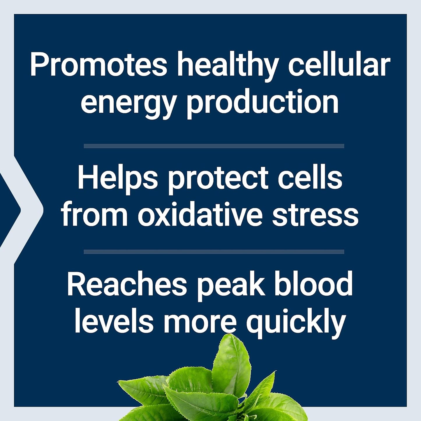 Longevity Supplement for Heart Health & Oxidative Stress Defense - Life Extension Super Ubiquinol CoQ10 with PQQ, CoQ10, PQQ, Shilajit, and Super R-Lipoic Acid