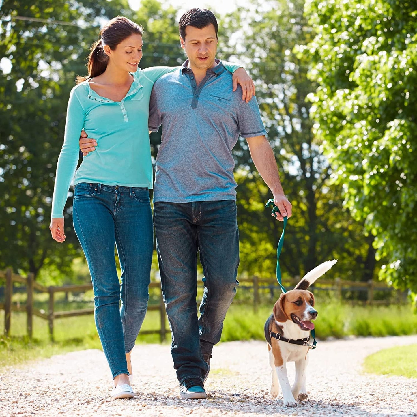 MagCombo Magnesium Supplement - High Absorption Oil Formula with Vitamins B2, B6, B12, and C - 3 Pack, 1 Capsule Daily