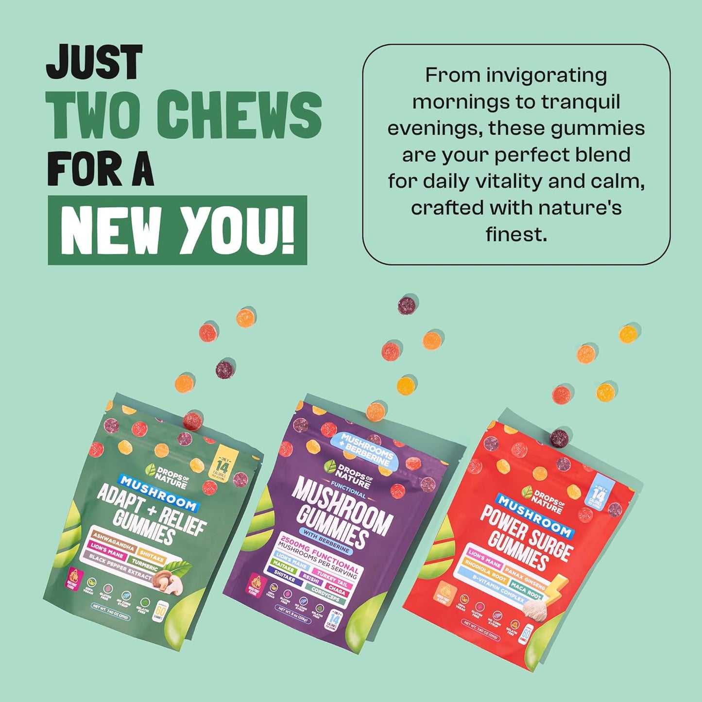 Mixed Fruits Ashwagandha & Turmeric Mushroom Gummies - Immunity & Digestion Support Vegan Supplements with Shiitake Mushroom, Turmeric Curcumin, Black Pepper, and Vitamin C Boost (60 Gummies)