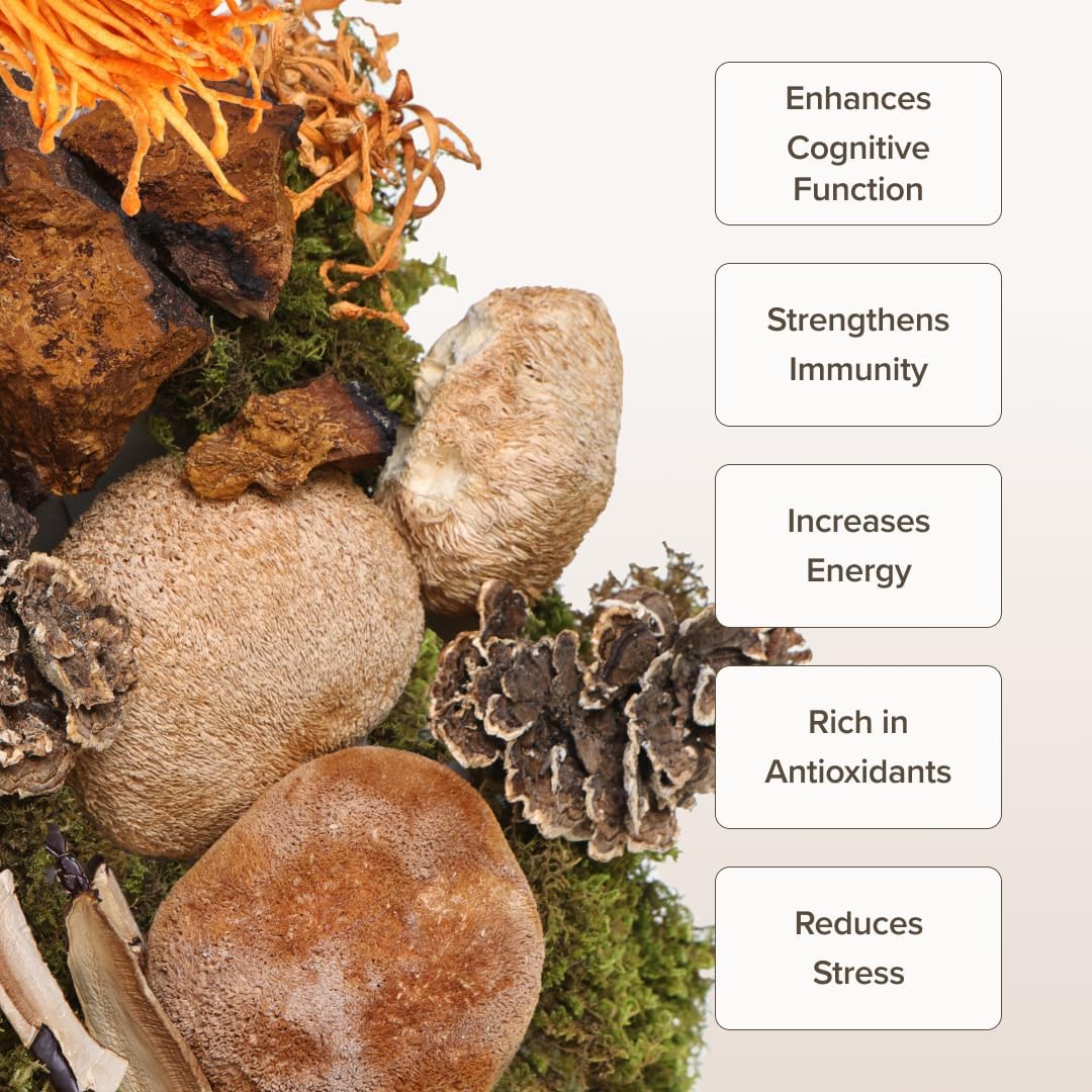 Mushroom Superfood Powder Blend for Coffee, Smoothies, and Tea - Lion's Mane, Reishi, Turkey Tail, Cordyceps, Chaga - 3.5 oz