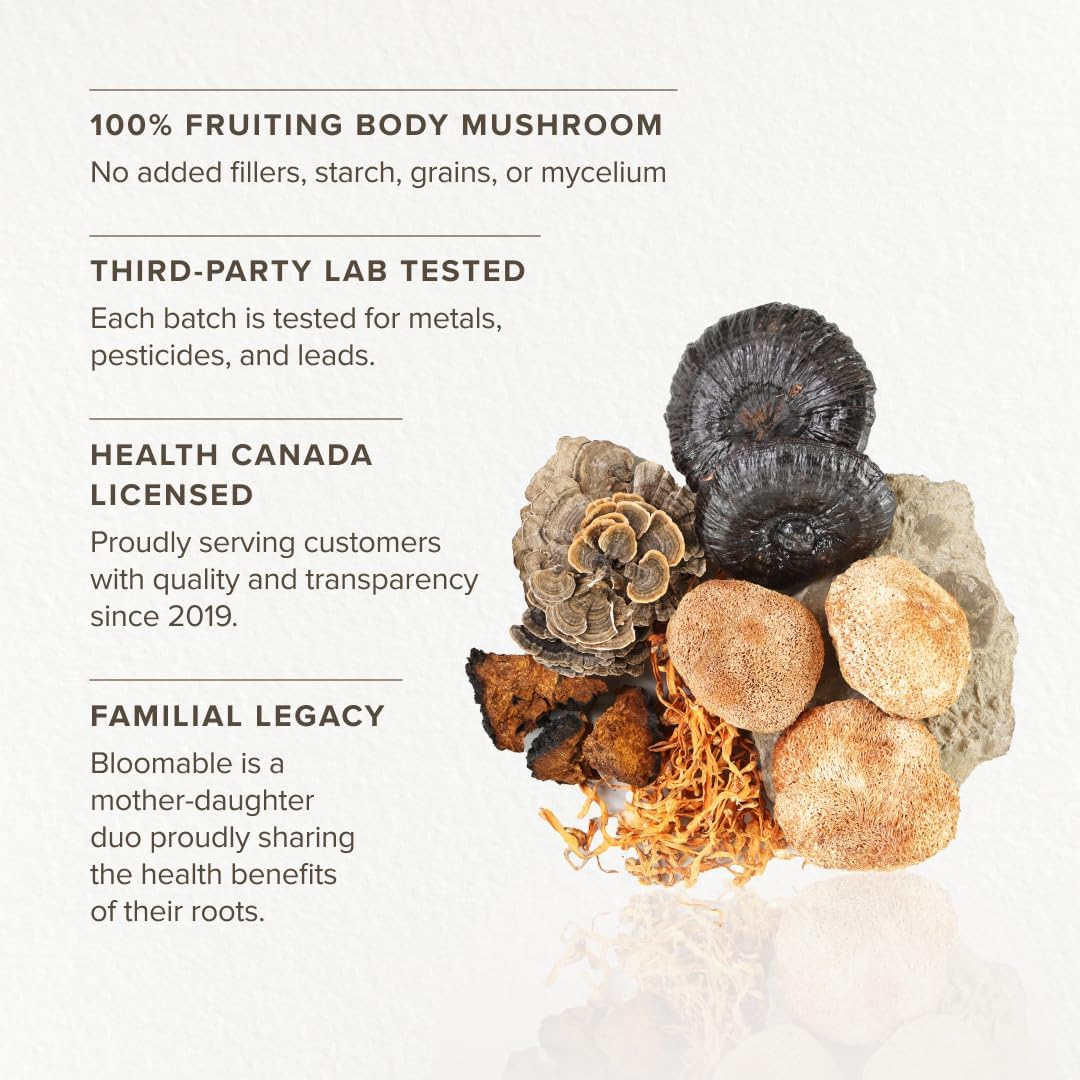 Mushroom Superfood Powder Blend for Coffee, Smoothies, and Tea - Lion's Mane, Reishi, Turkey Tail, Cordyceps, Chaga - 3.5 oz