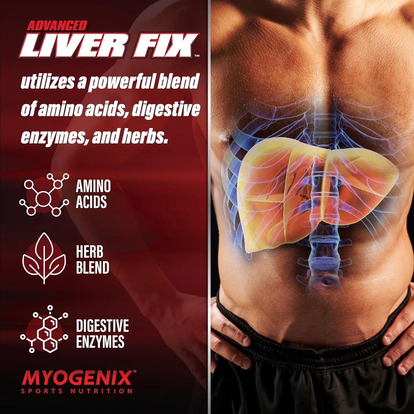 Myogenix Liver Support and Myolean Whey Protein Vanilla Supplement - 5 LBS