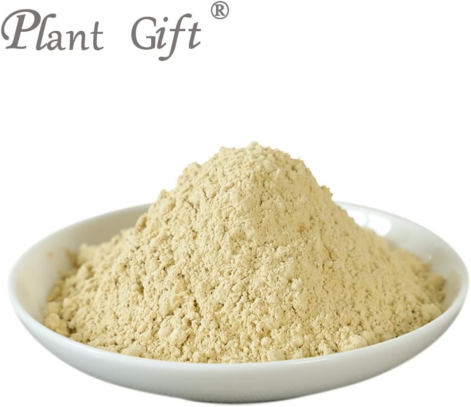 Natural Lions Mane Powder for Drinks - 100% Pure Hericium Erinaceus Flour, Non-GMO, No Fillers, 100g/3.25oz