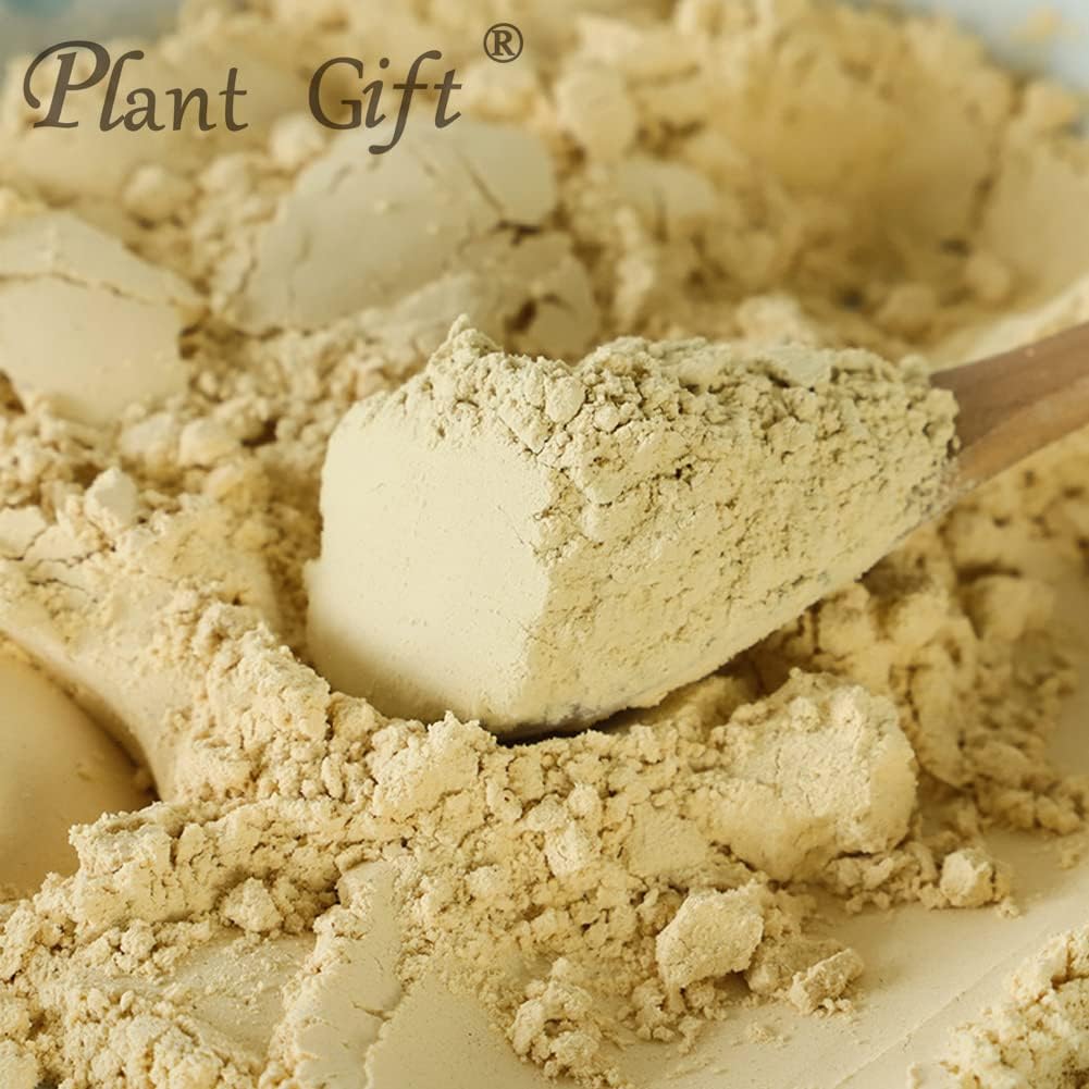 Natural Lions Mane Powder for Drinks - 100% Pure Hericium Erinaceus Flour, Non-GMO, No Fillers, 100g/3.25oz
