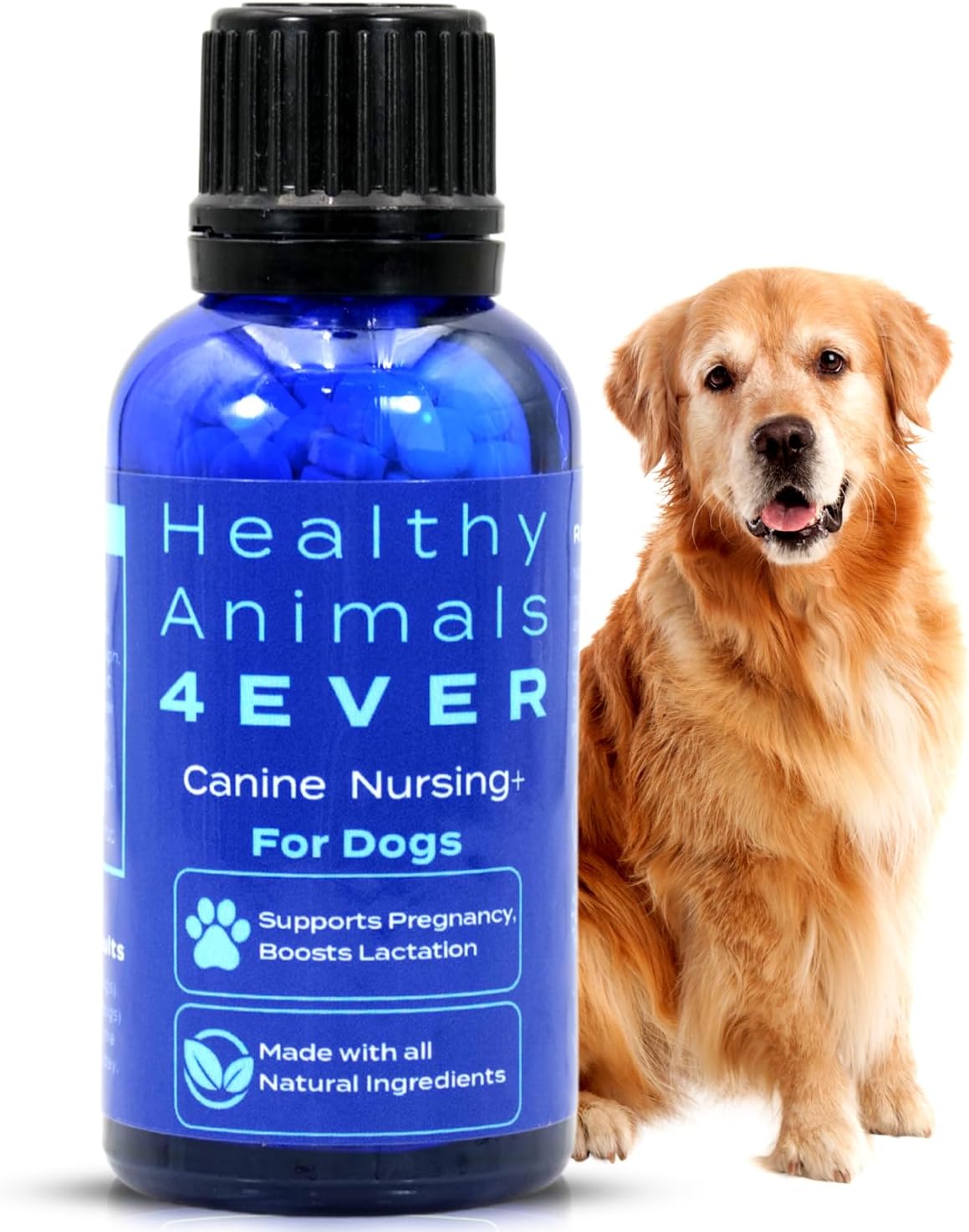 Natural Pregnancy and Lactation Support for Healthy Animals, Fast-Acting Formula with Guaranteed Results