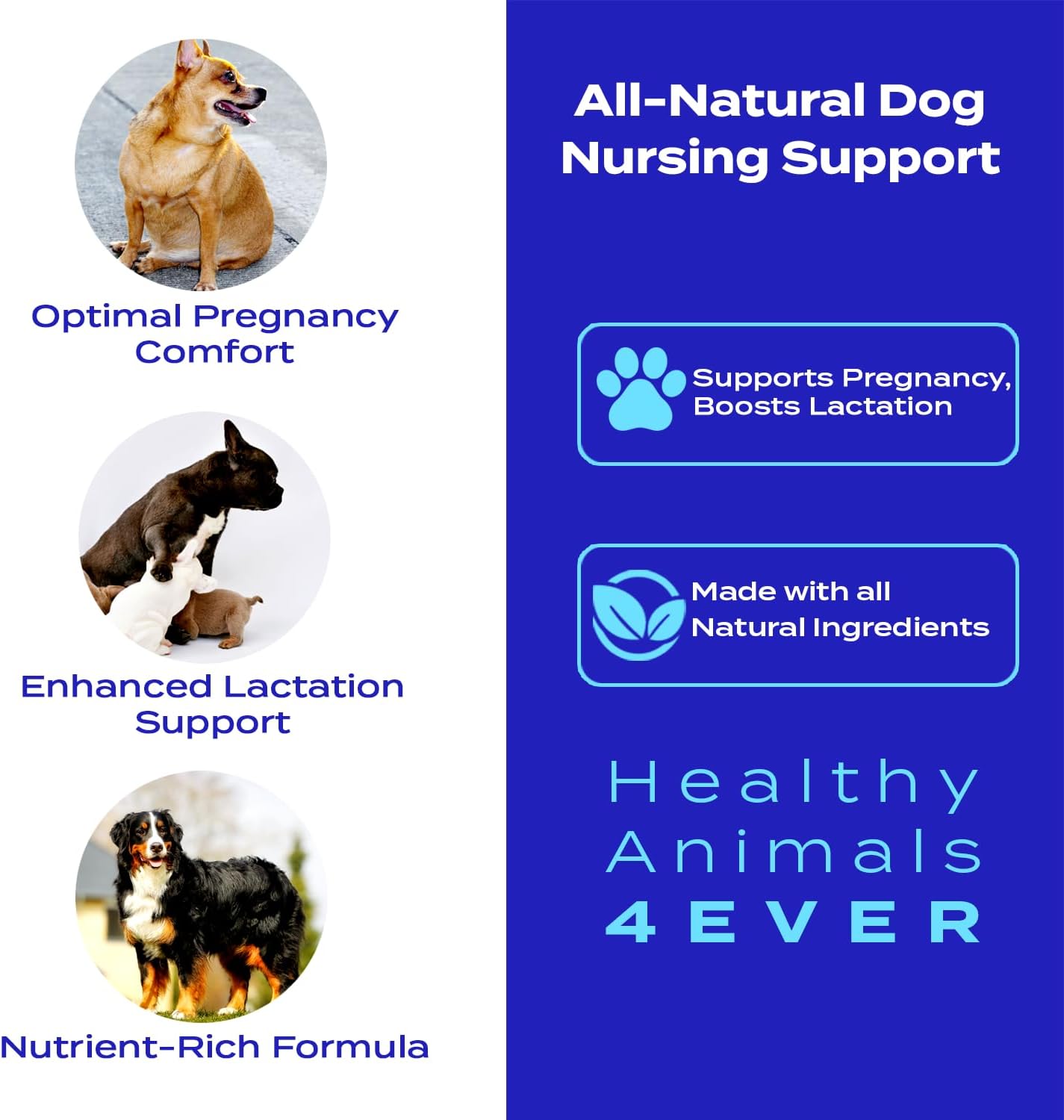 Natural Pregnancy and Lactation Support for Healthy Animals, Fast-Acting Formula with Guaranteed Results