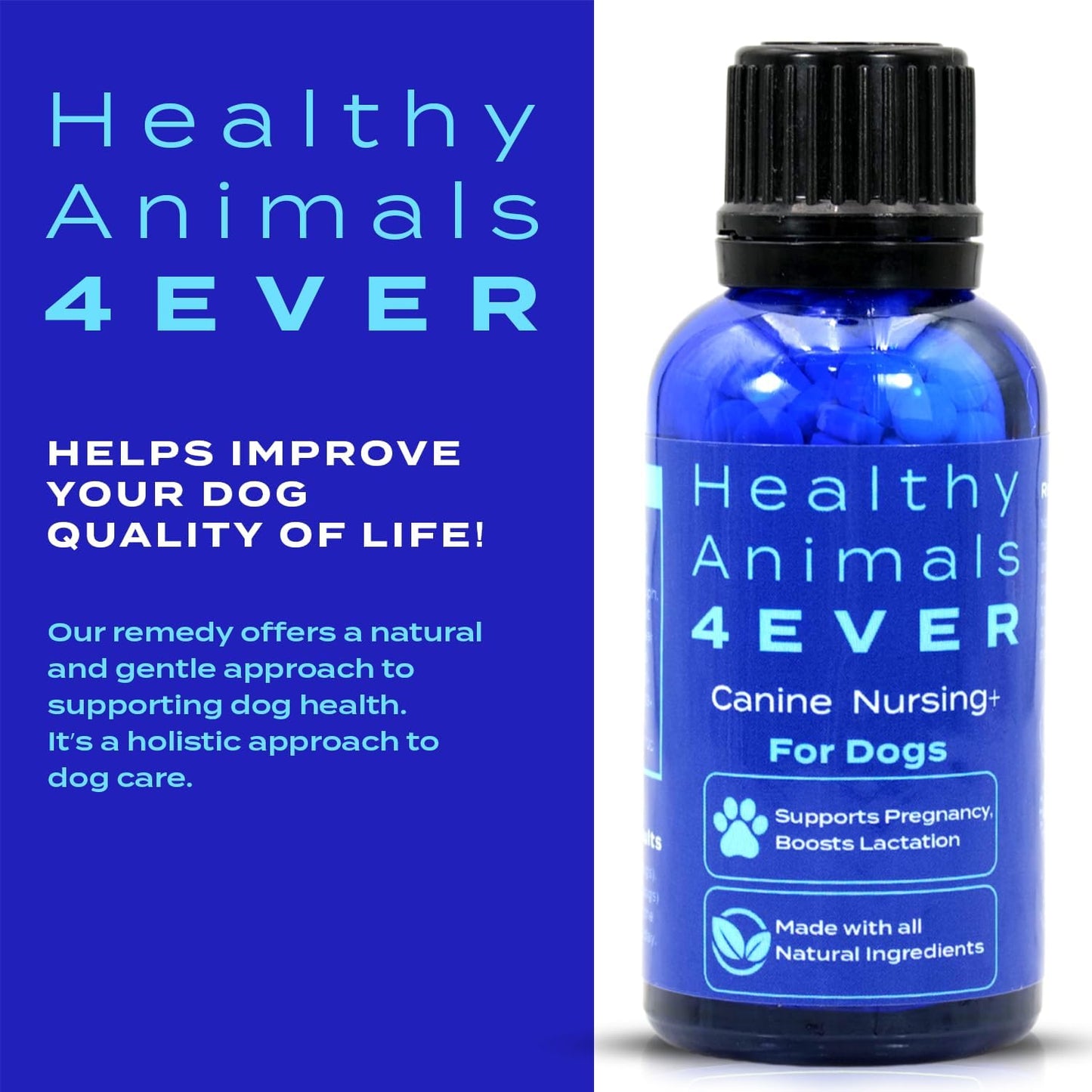 Natural Pregnancy and Lactation Support for Healthy Animals, Fast-Acting Formula with Guaranteed Results