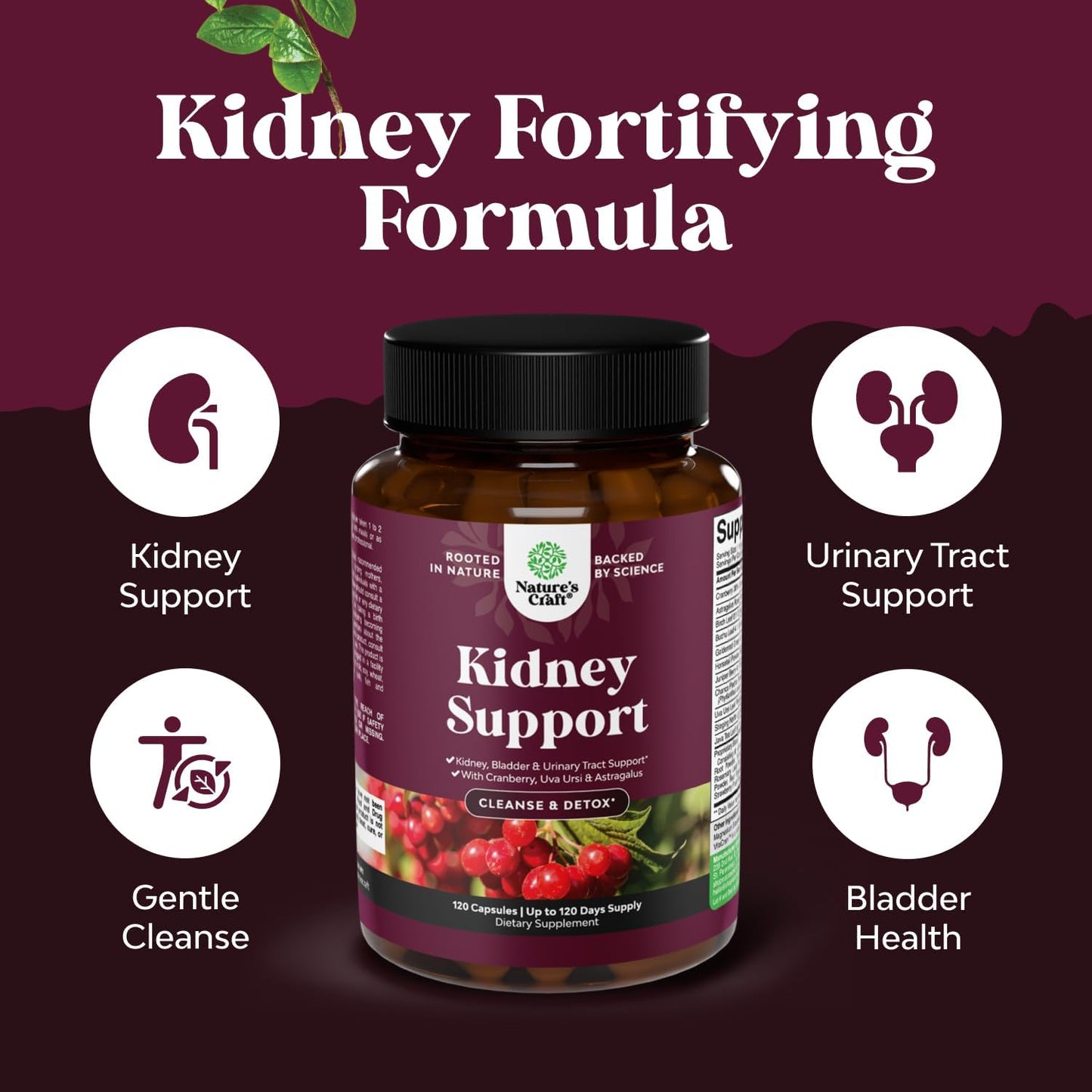 Natural White Kidney Bean Extract Bundle - Digestive Health and Workout Supplement with Cranberry for Kidney and Bladder Support