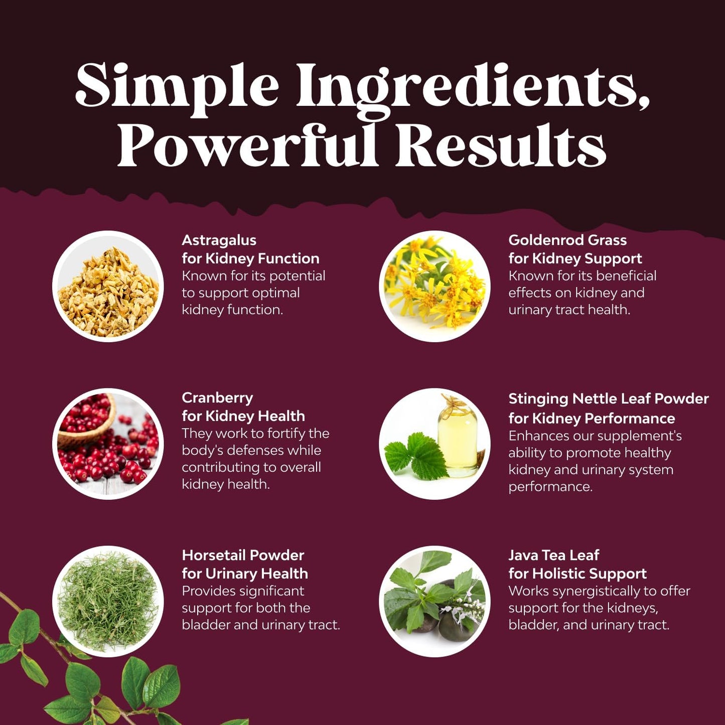 Natural White Kidney Bean Extract Bundle - Digestive Health and Workout Supplement with Cranberry for Kidney and Bladder Support