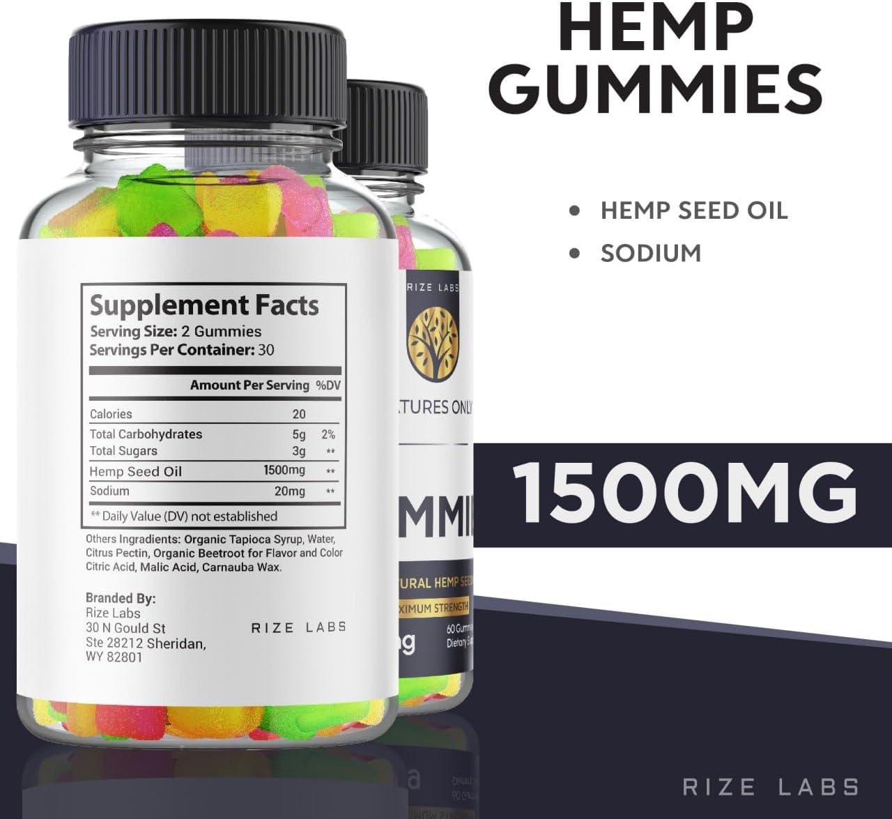 Natures Only Gummies 2 Pack - Advanced Formula Supplement for Focus, Clarity, and Mood - 120 Gummies - Reviews Included