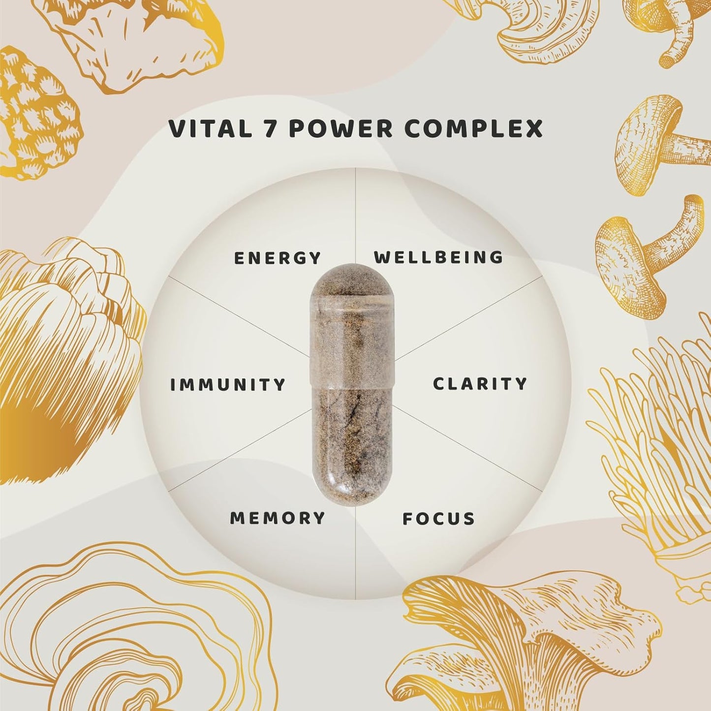 Neuro Vital7 Mushroom Extract Supplement for Focus, Energy & Mental Performance - 90 Veggie Capsules
