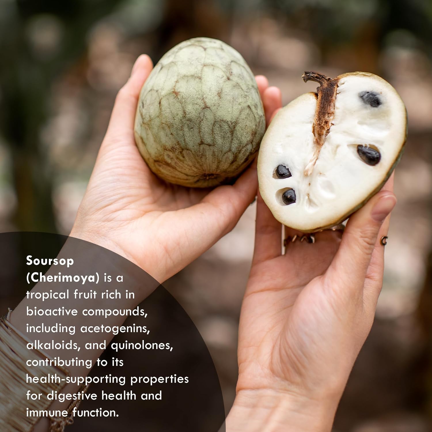 Neurogan Soursop Liquid Drops | Immune & Antioxidant Support Supplement | Enhanced Absorption | 20:1 Extract | 1500mg, 60ml